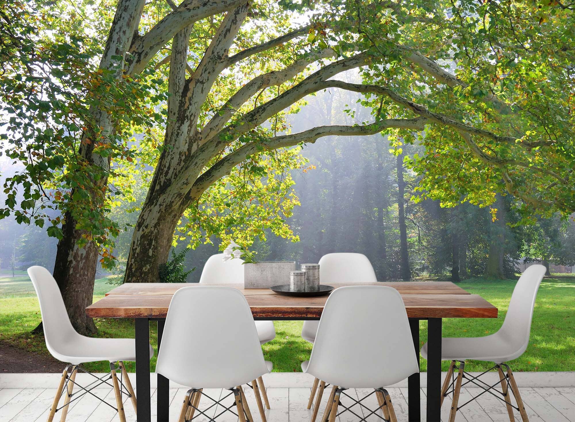 3D Park Tree 142 Wall Murals Wallpaper AJ Wallpaper 2