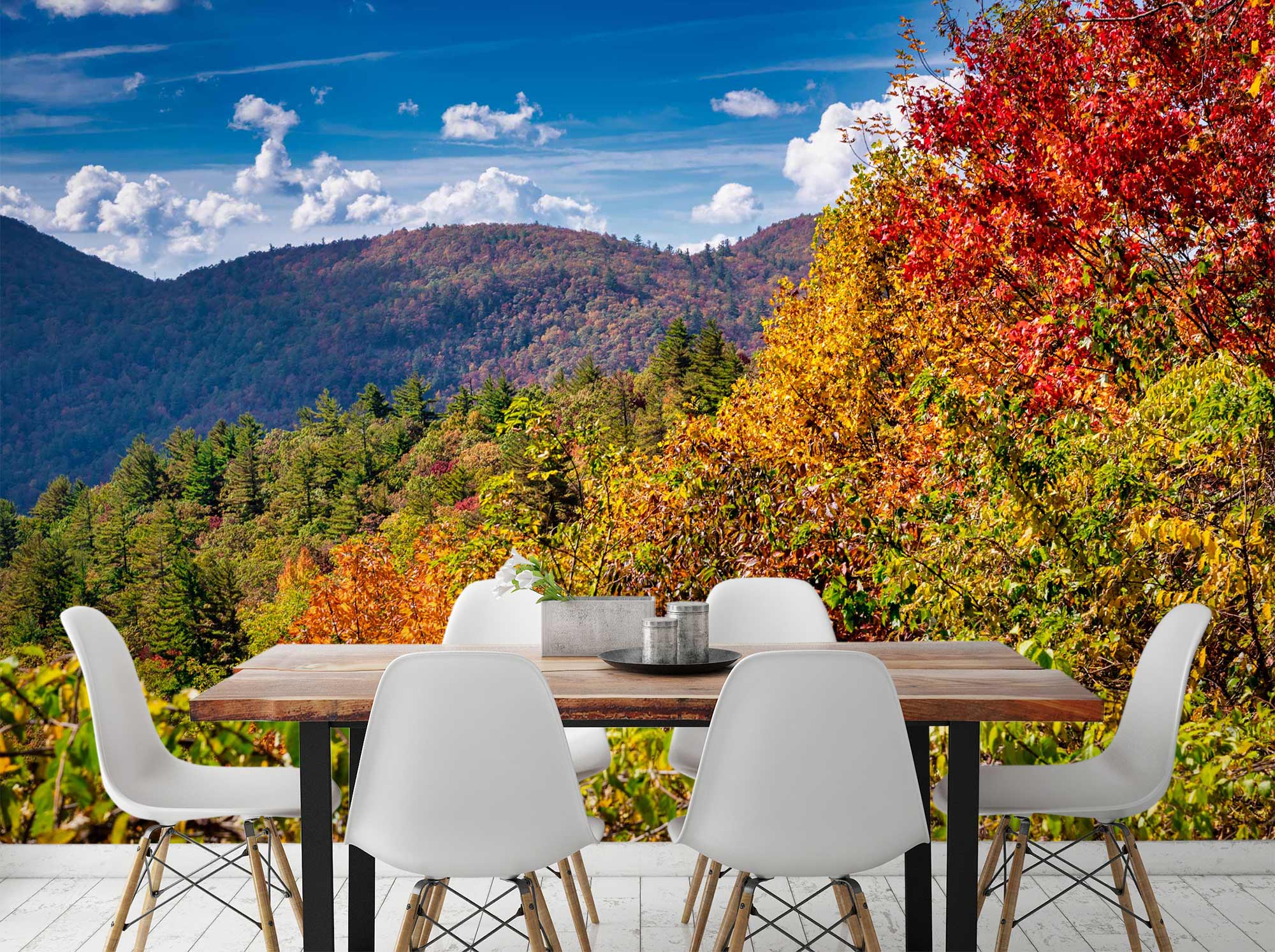 3D Mountain Forest 5249 Beth Sheridan Wall Mural Wall Murals