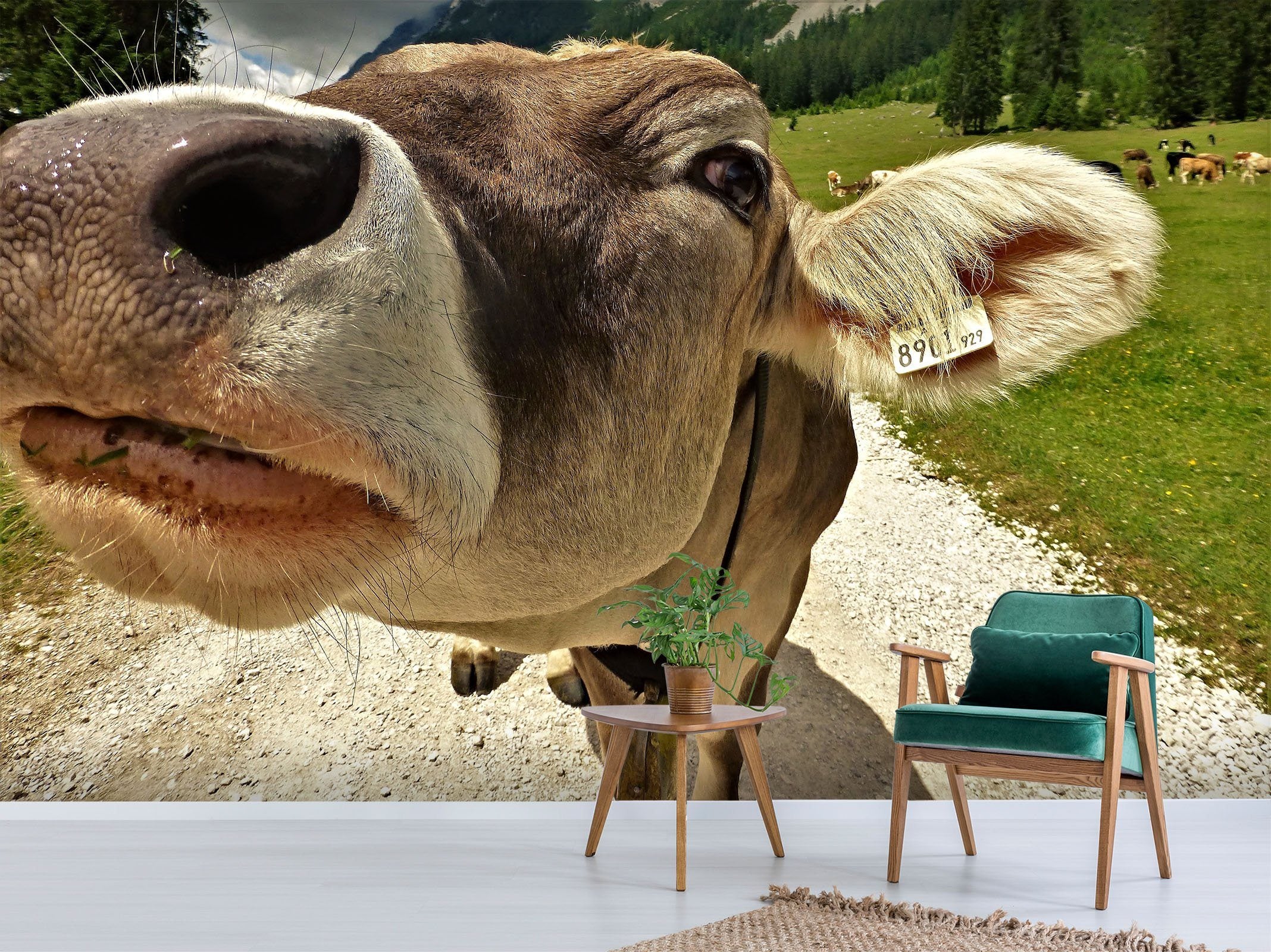 3D Cow Mouth 131 Wallpaper AJ Wallpaper