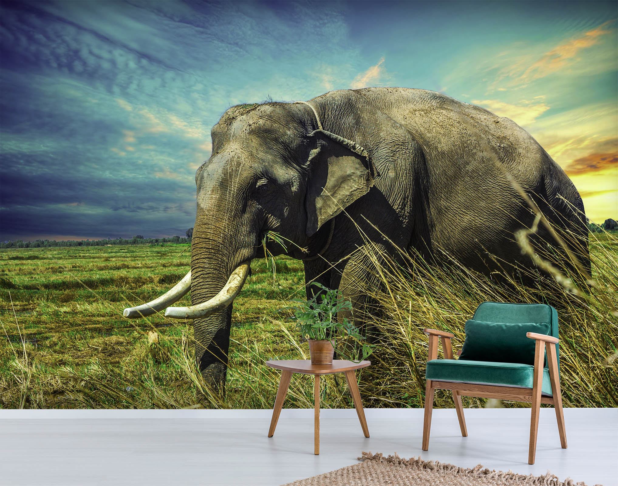 3D Grassland Elephant Trunk 137 Wallpaper AJ Wallpaper