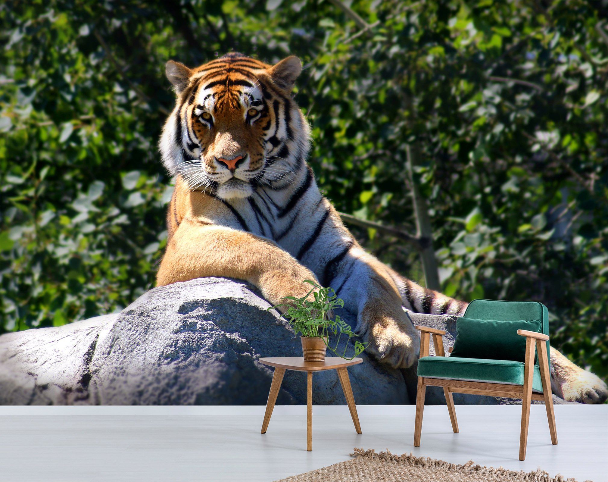 3D Tiger King 242 Wallpaper AJ Wallpaper