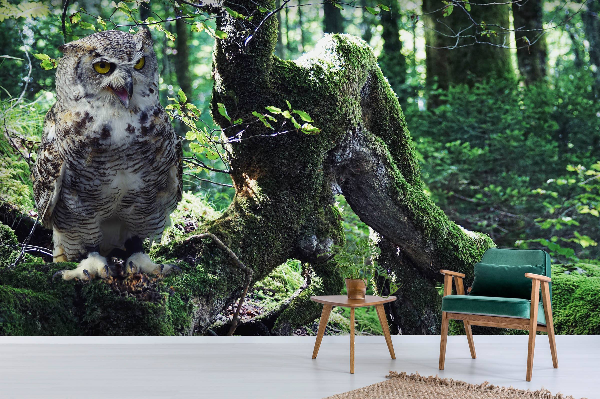 3D Forest Owl 217 Wallpaper AJ Wallpaper