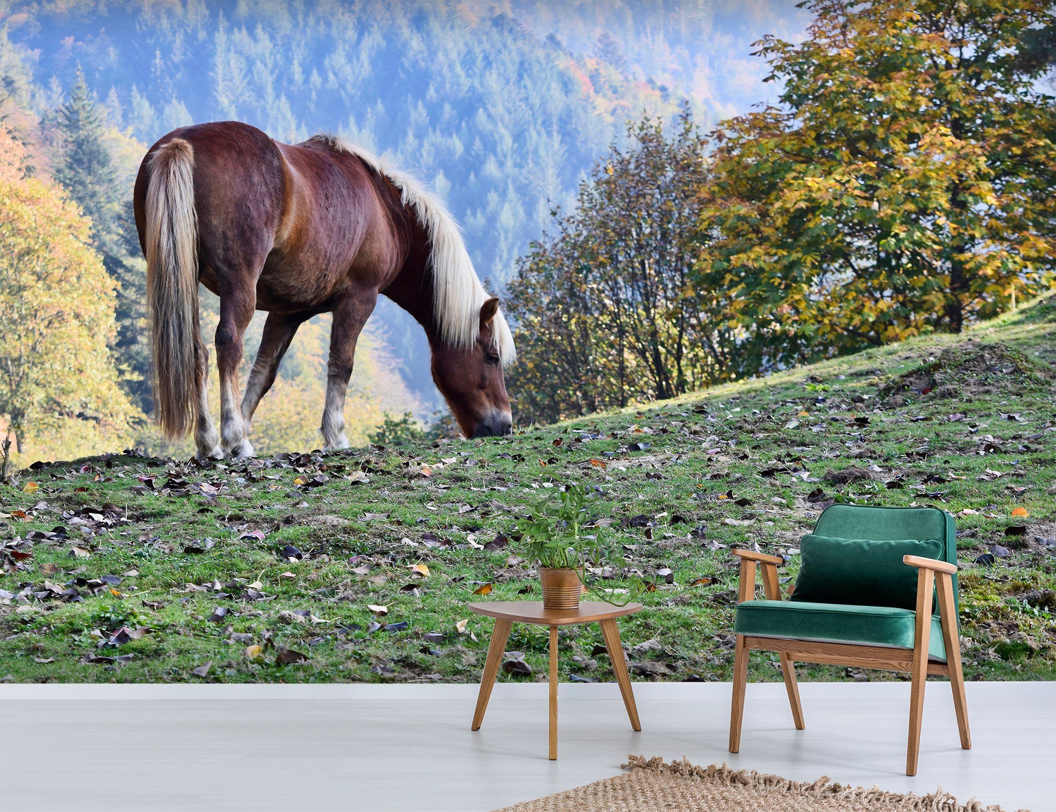 3D Horse Grass 662 Wallpaper AJ Wallpaper