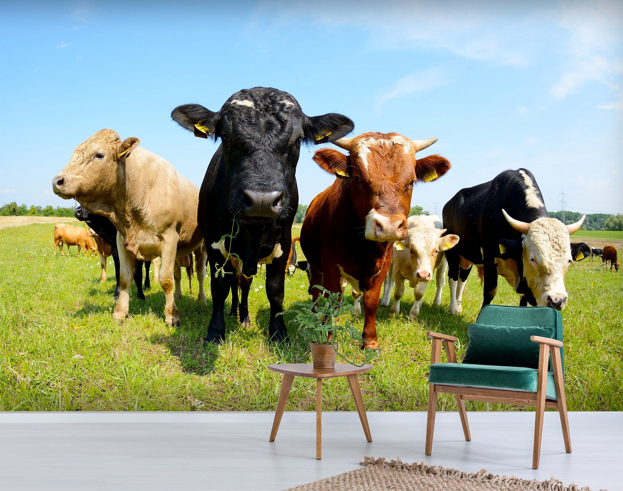 3D Forest Bull Head 133 Wallpaper AJ Wallpaper