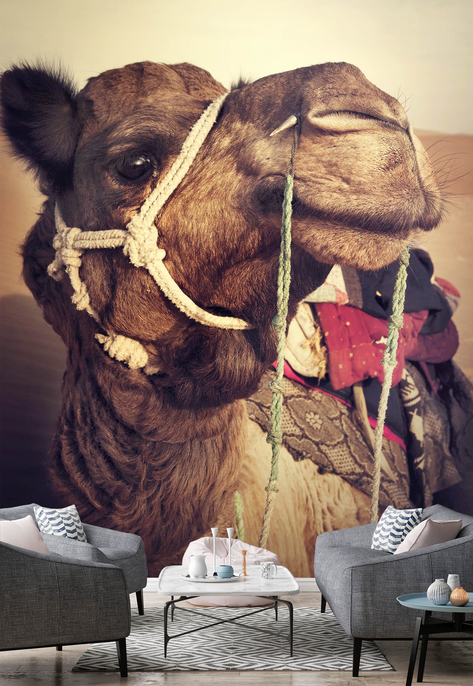 3D Camel Animal 142 Wall Murals Wallpaper AJ Wallpaper 2