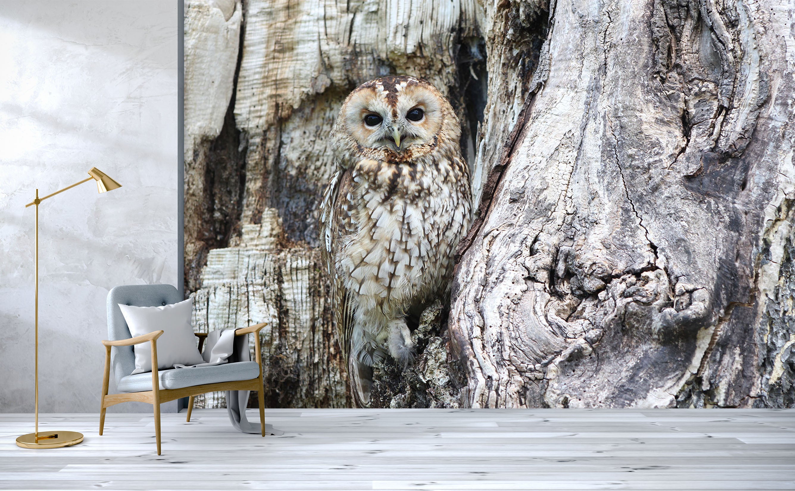 3D Black Owl 255 Wall Murals