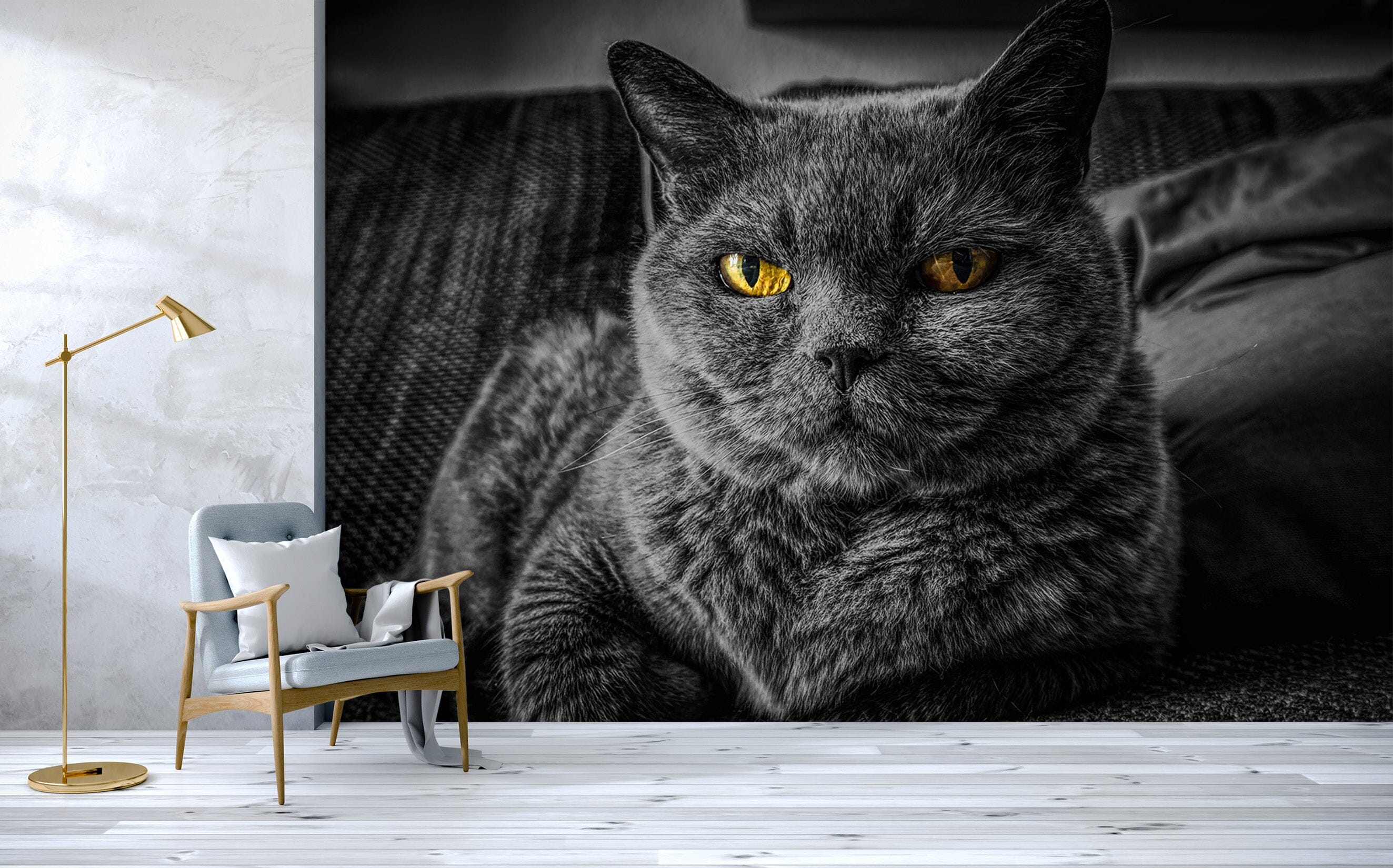 3D Black Kitten 146 Wall Murals Wallpaper AJ Wallpaper 2