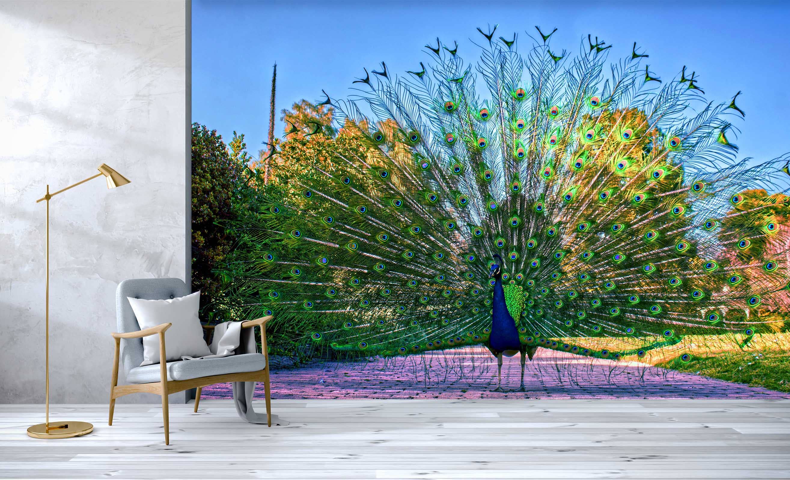 3D Peacock Opening 411 Wall Murals Wallpaper AJ Wallpaper 2