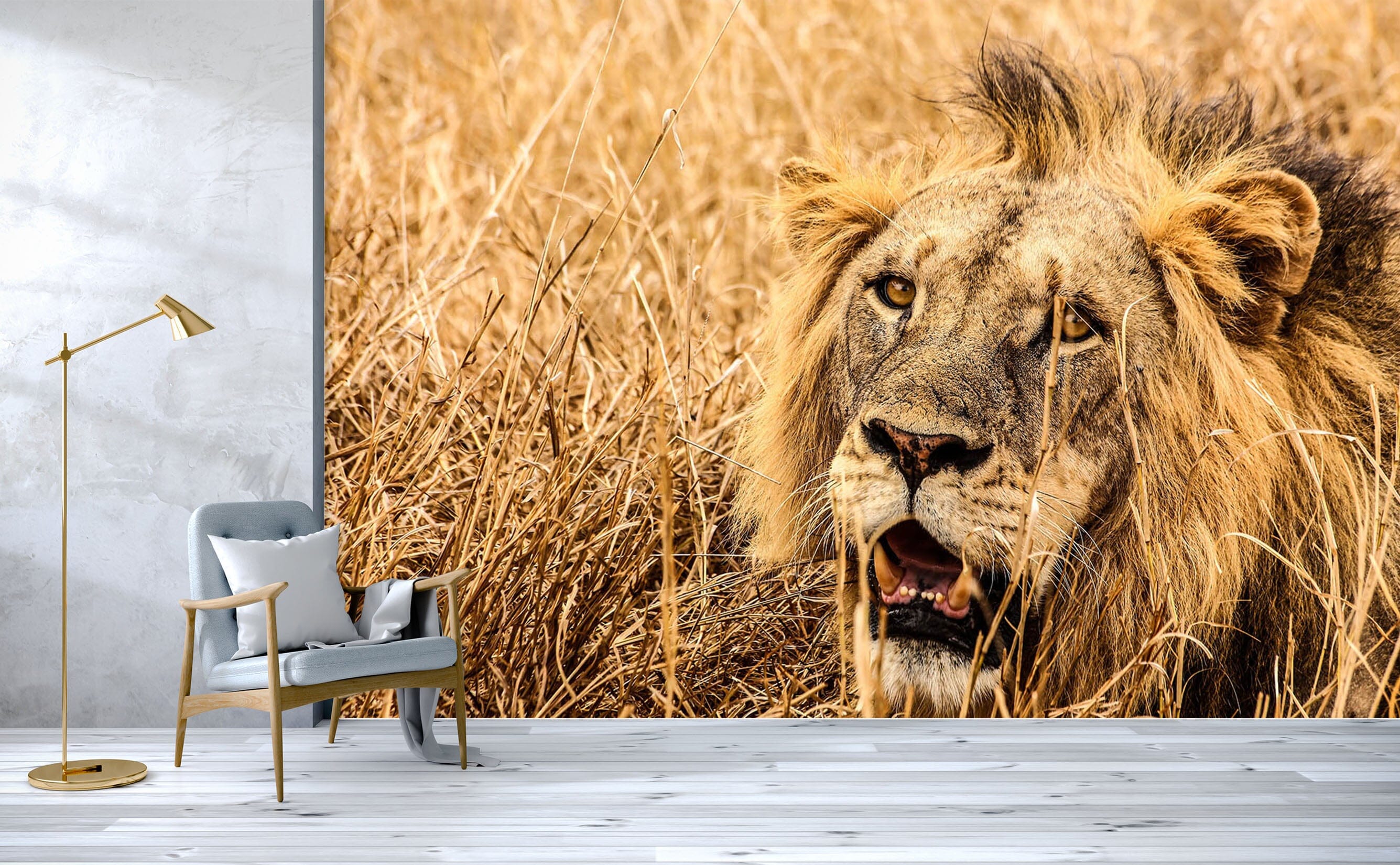 3D Prairie Lion 136 Wall Murals Wallpaper AJ Wallpaper 2