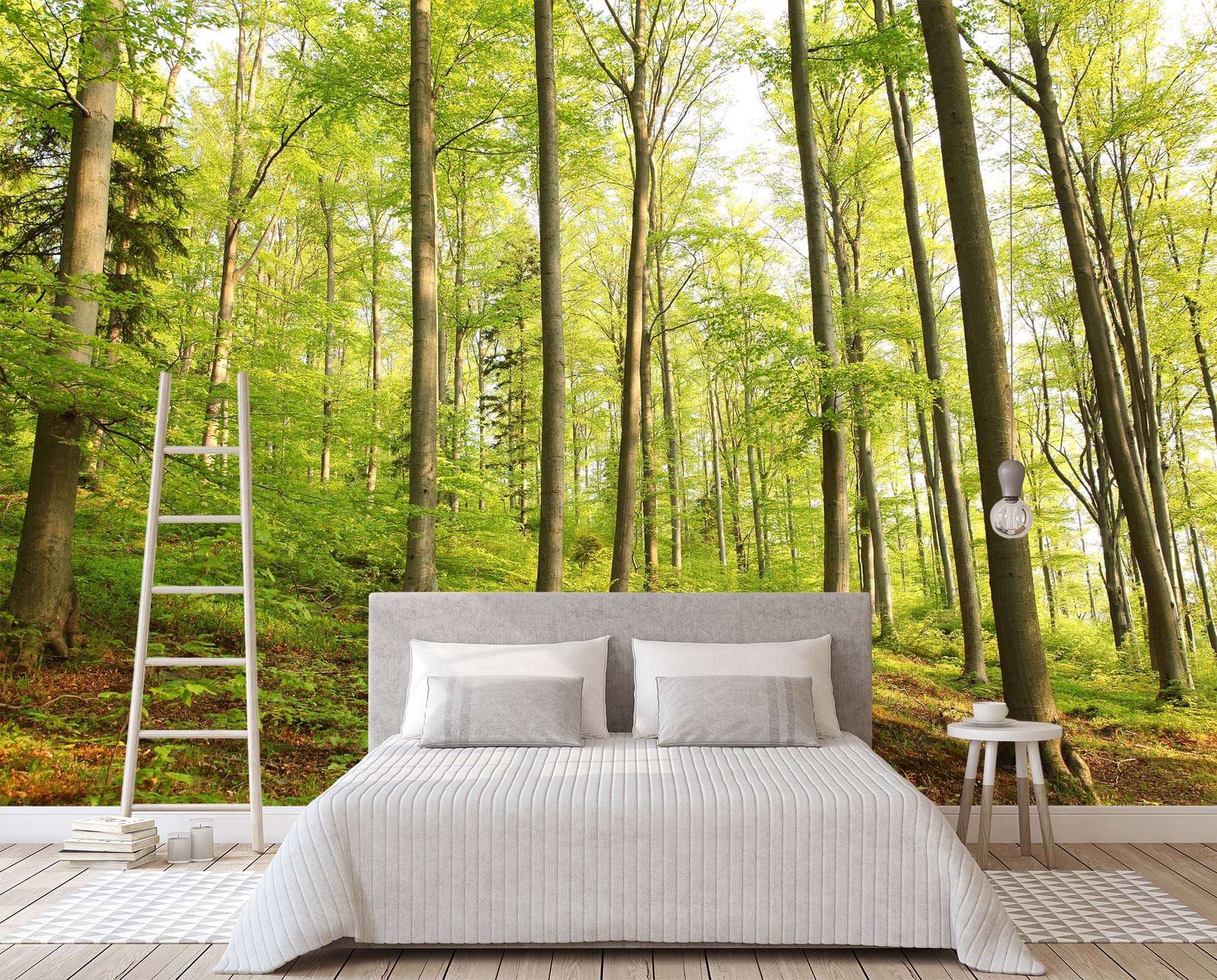 3D Clear Sky Forest 122 Wall Murals Wallpaper AJ Wallpaper 2