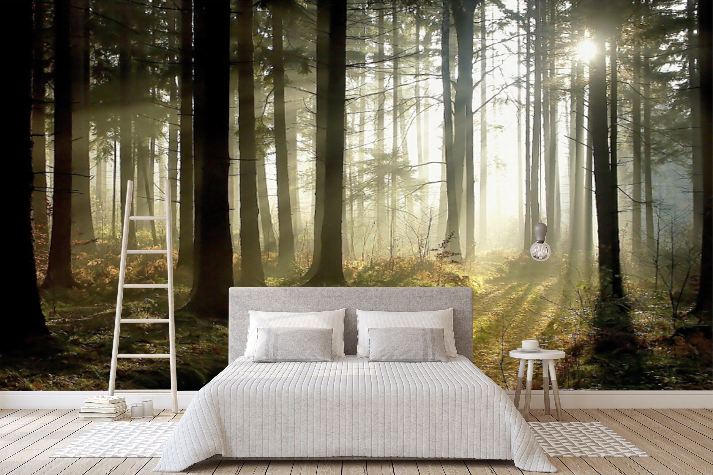 Forest Trail Wallpaper AJ Wallpaper