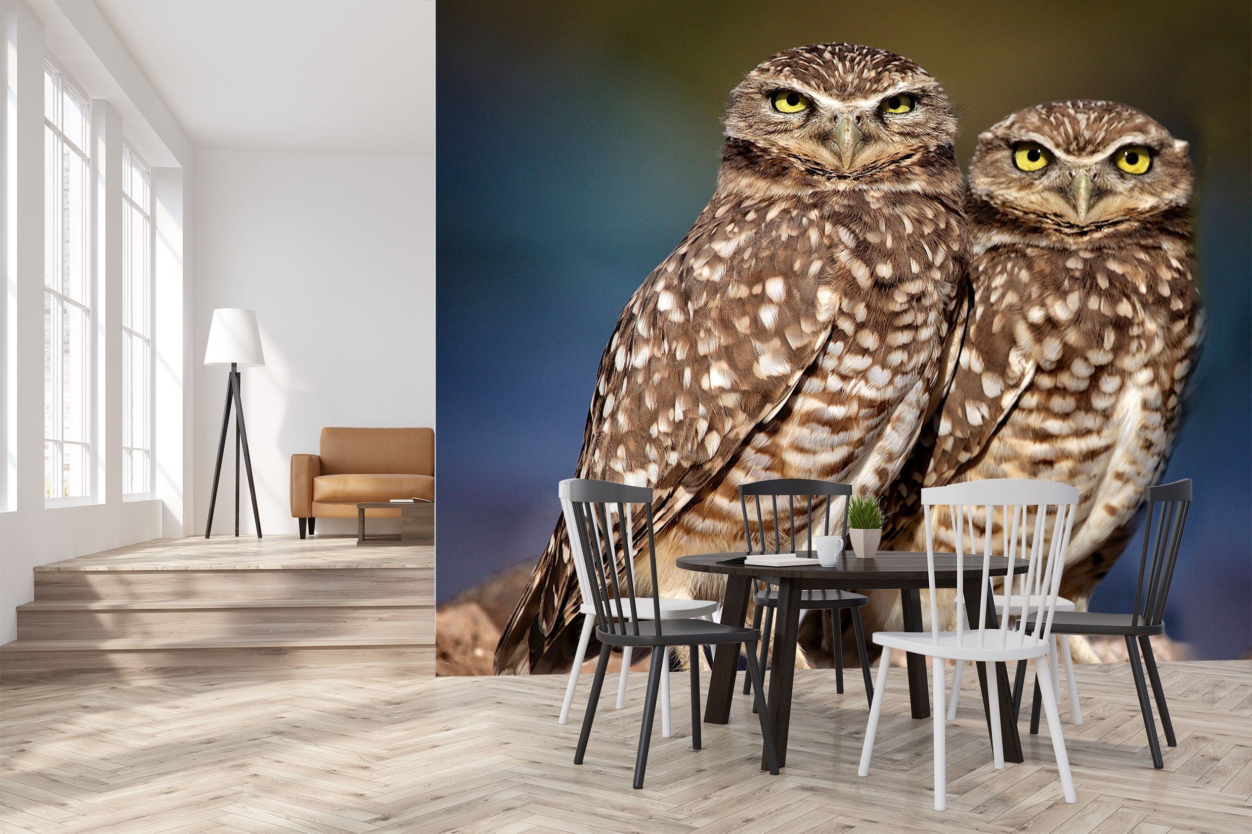 3D Burrowing Owl Buddies 105 Kathy Barefield Wall Mural Wall Murals Wallpaper AJ Wallpaper 2