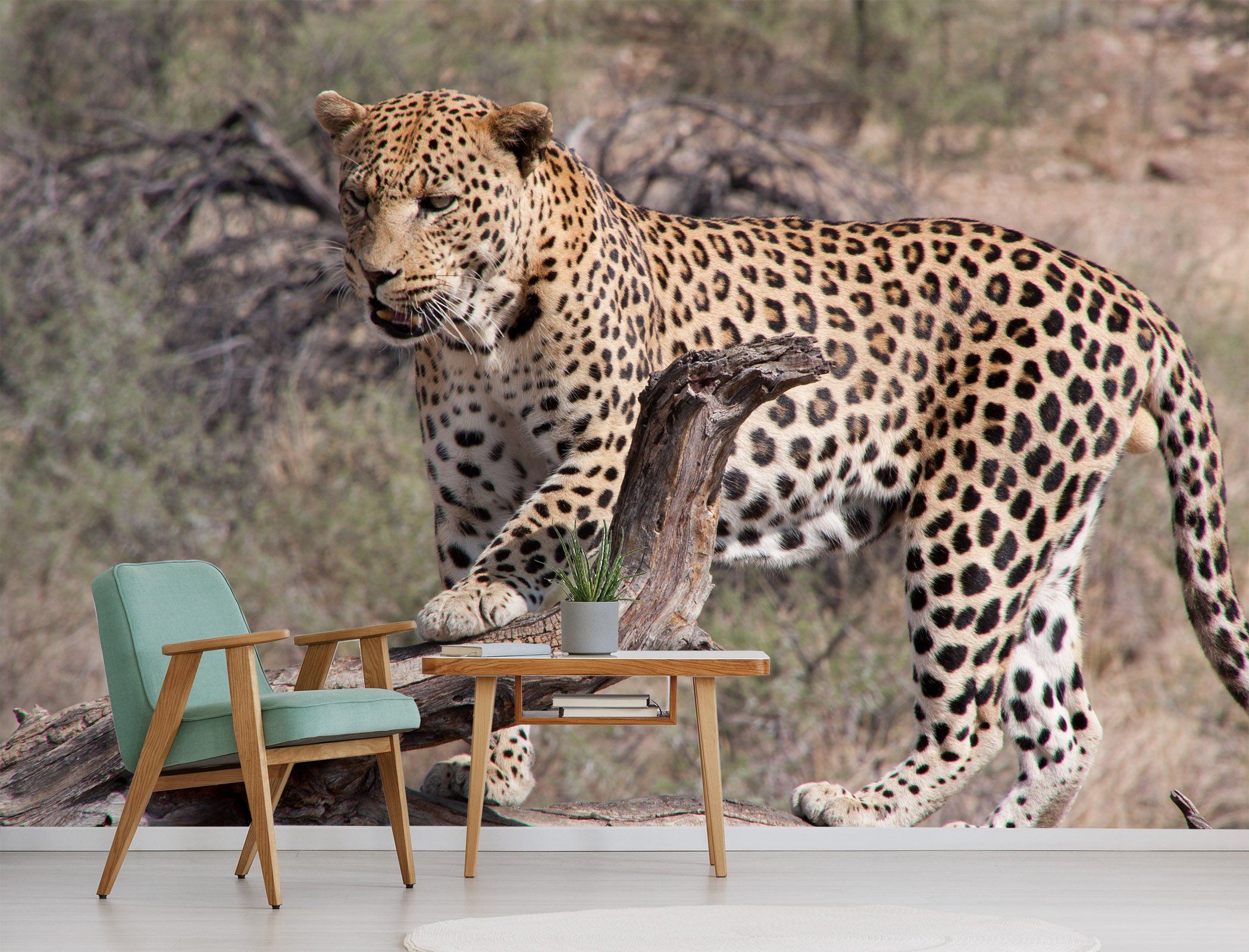 3D Playful Leopard 231 Wallpaper AJ Wallpaper