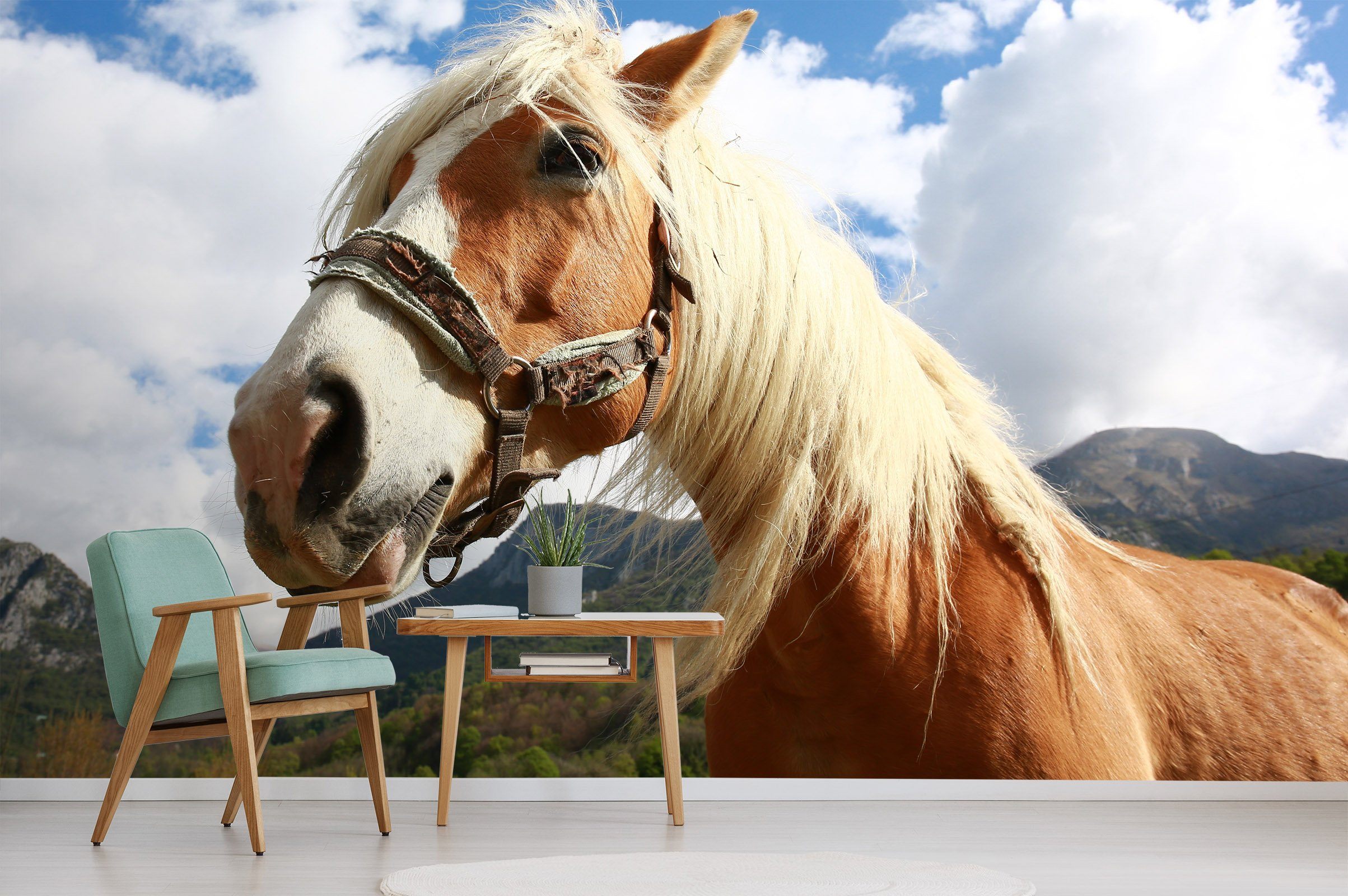 3D Horse Face 670 Wallpaper AJ Wallpaper