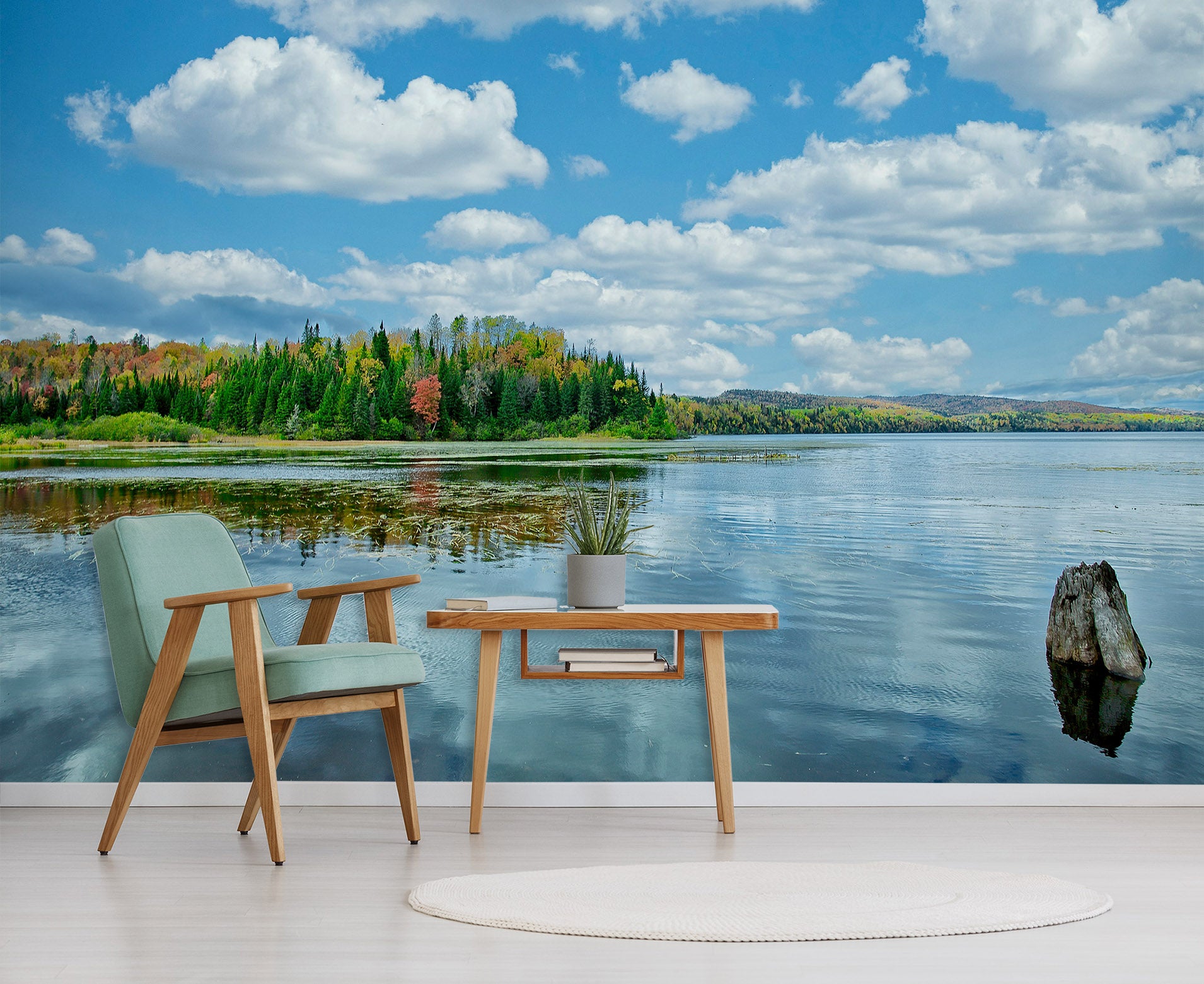 3D Lake Water 61159 Kathy Barefield Wall Mural Wall Murals