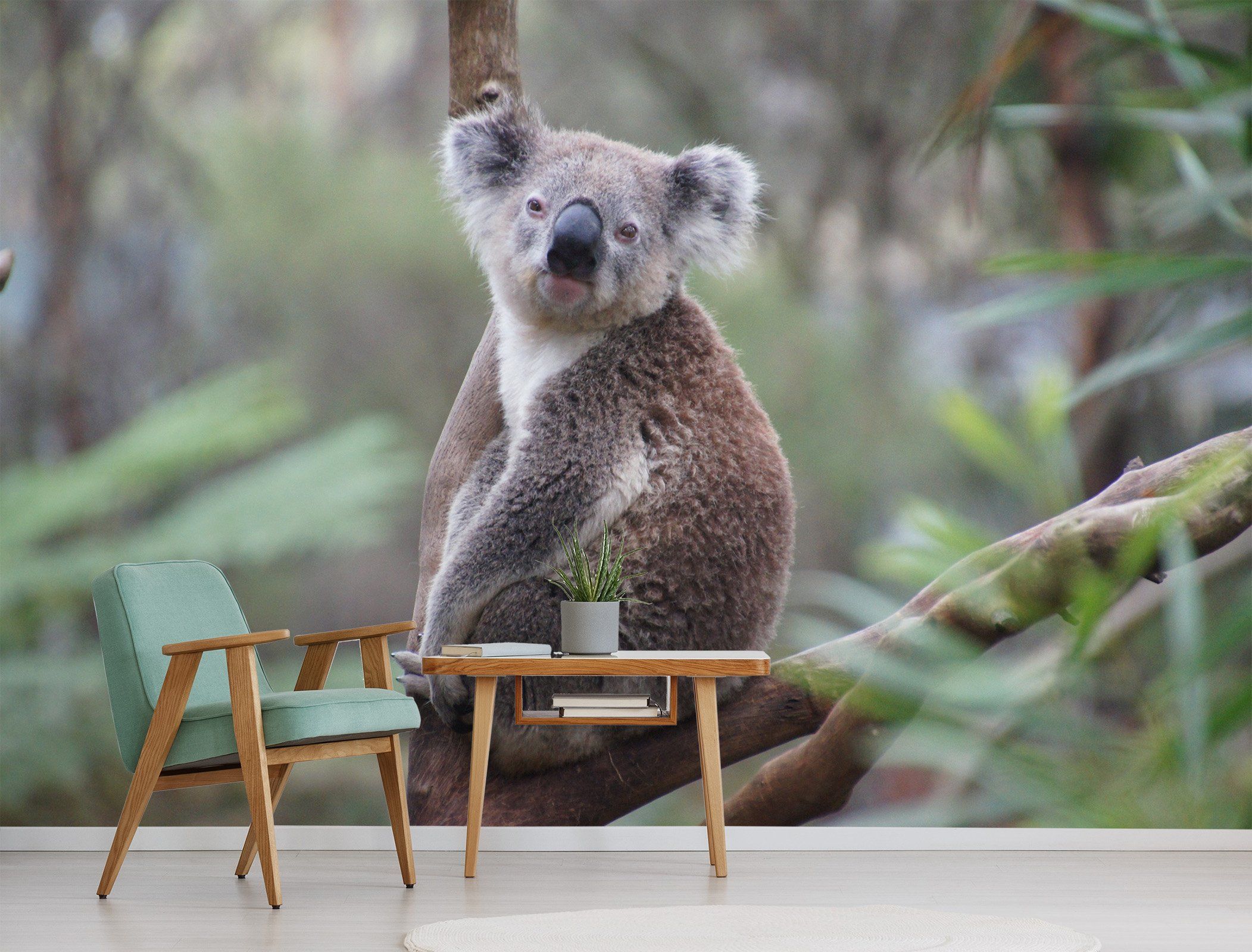 3D Koala Moutht 205 Wallpaper AJ Wallpaper