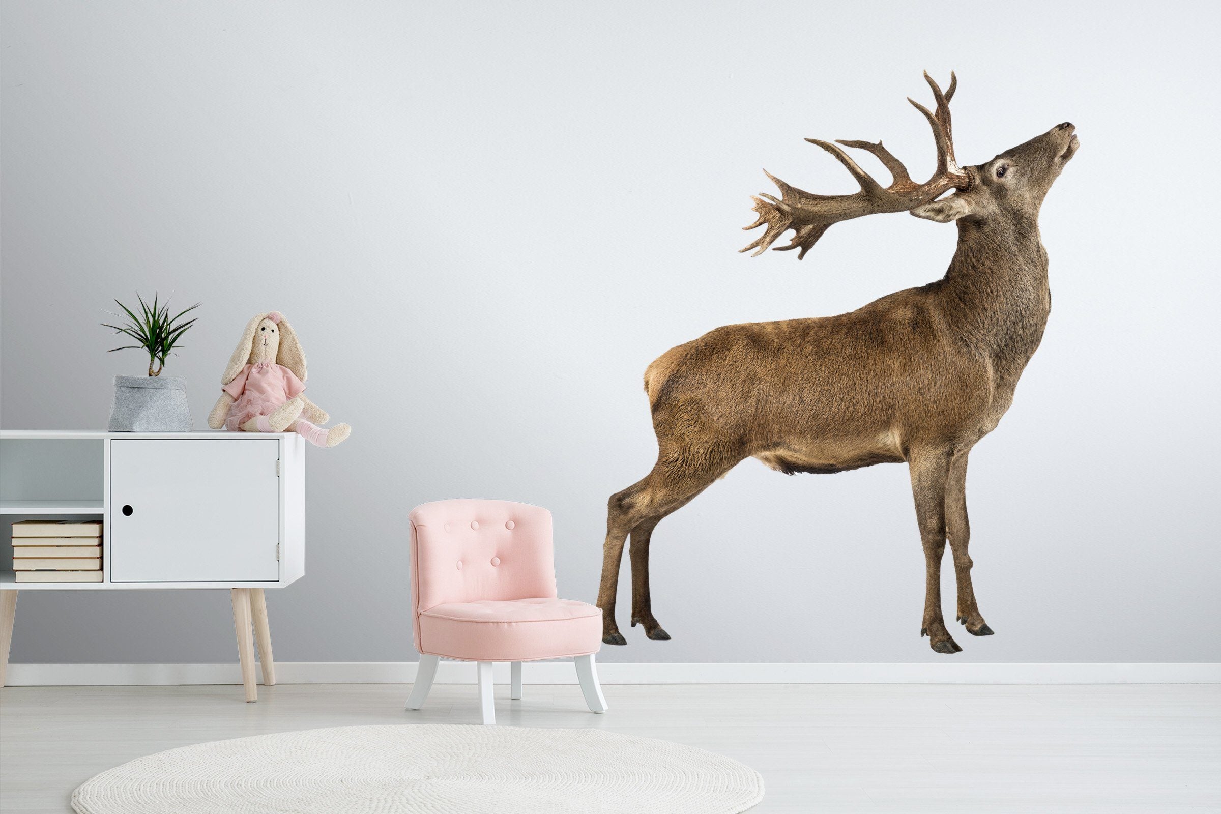 3D Elk Looking Up 116 Animals Wall Stickers Wallpaper AJ Wallpaper