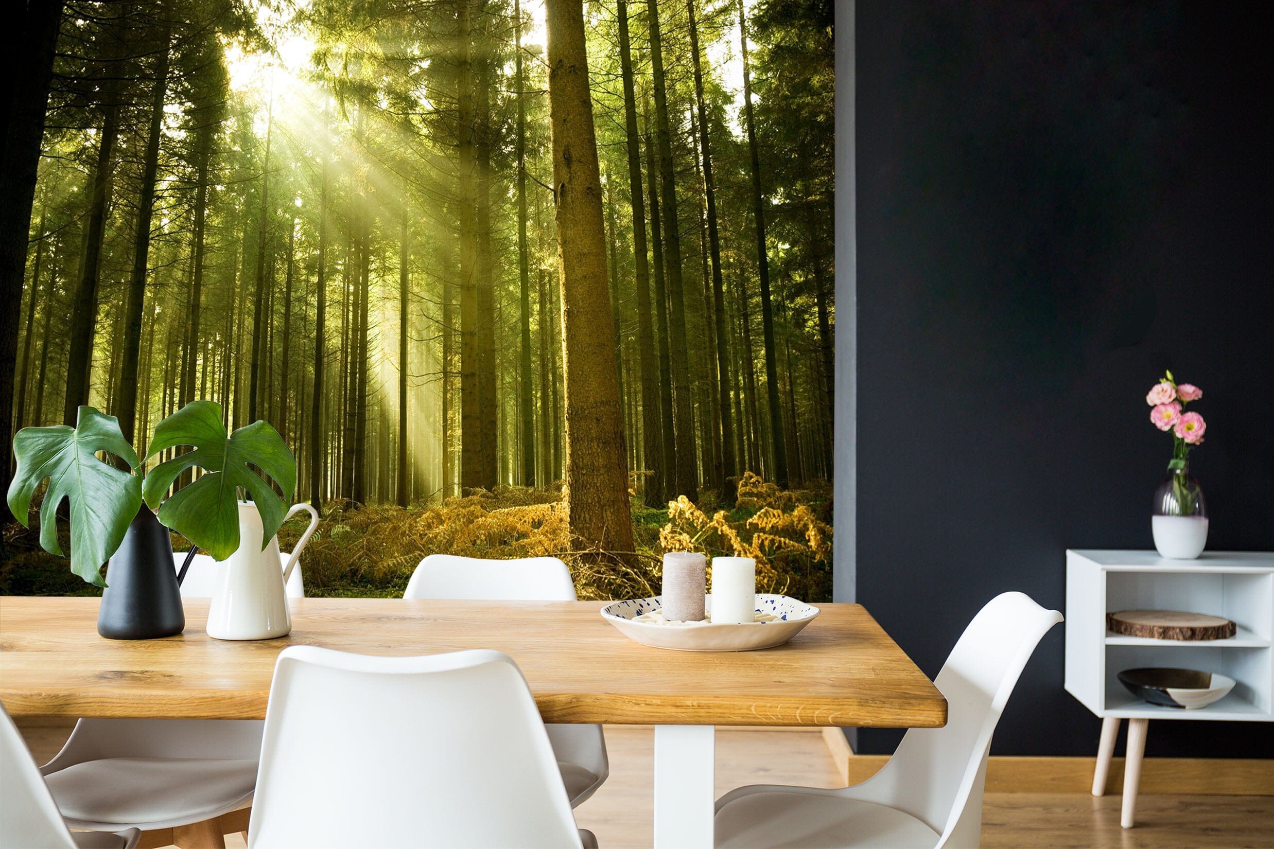 3D Forest Sunlight 119 Wall Murals Wallpaper AJ Wallpaper 2