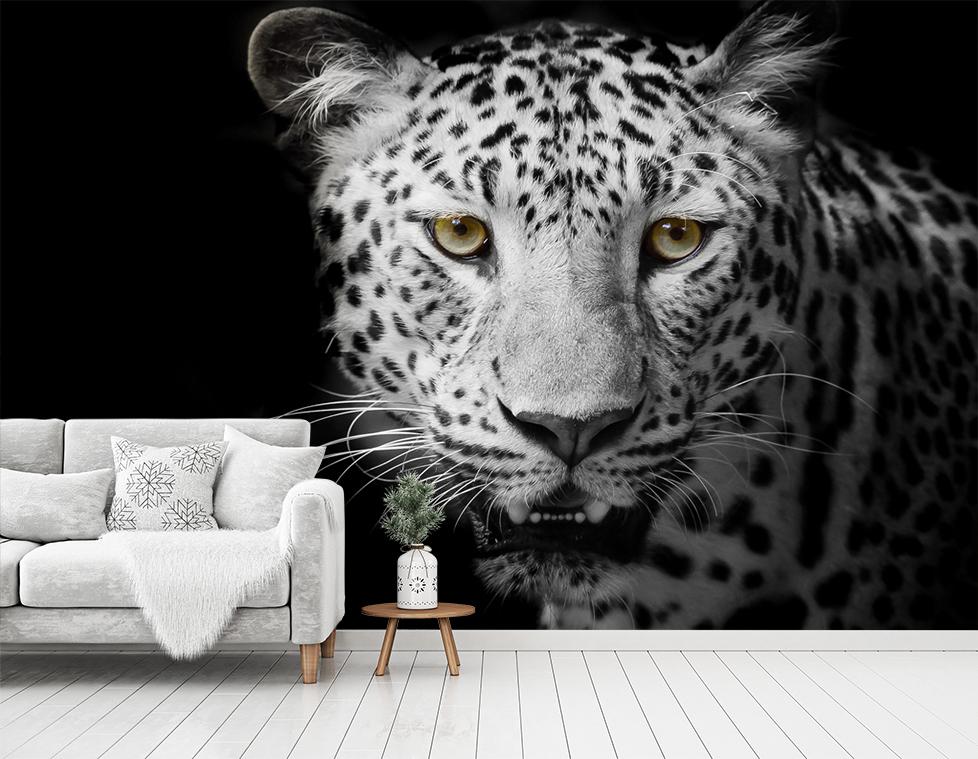 3D Leopard Gaze 185 Wallpaper AJ Wallpaper