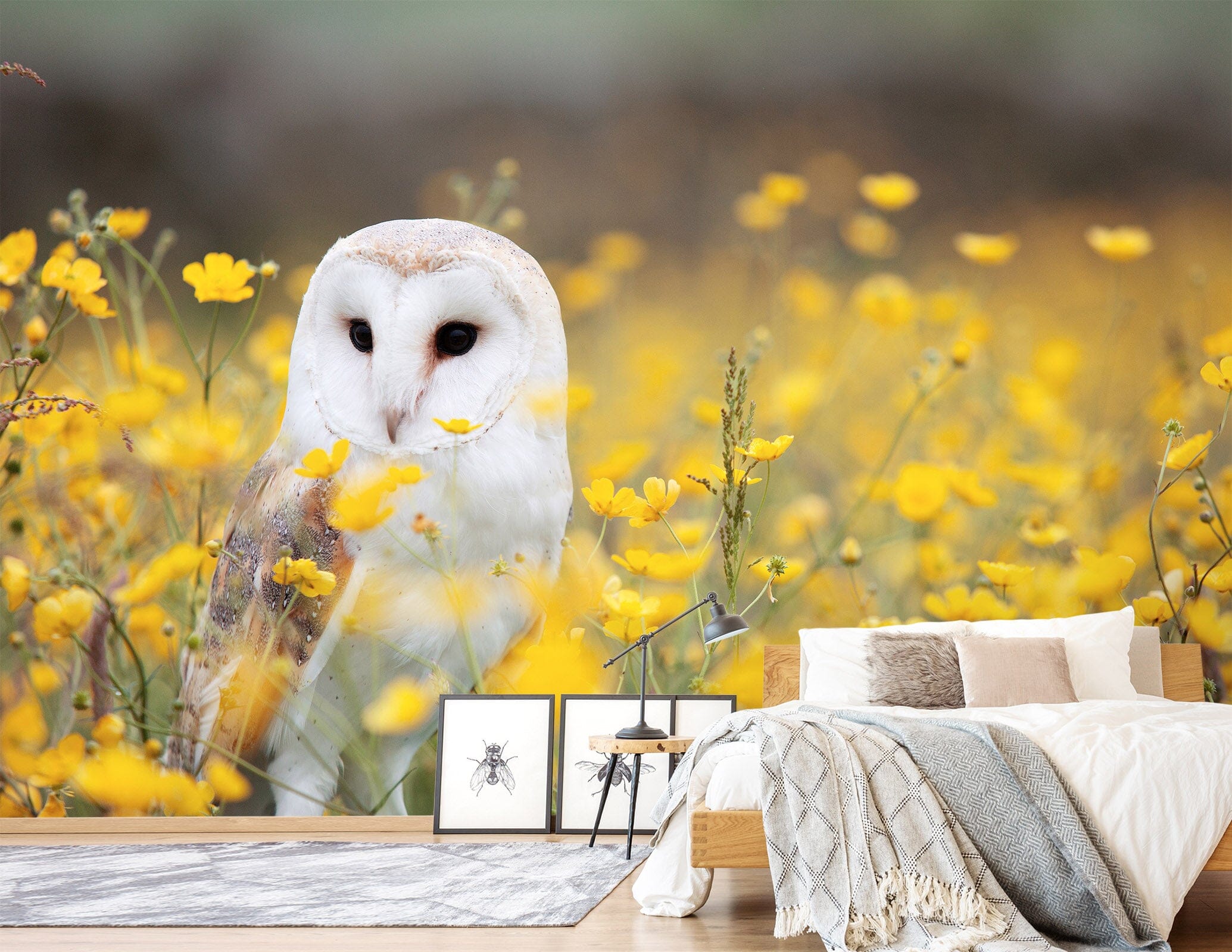 3D White Owl 435 Wall Murals Wallpaper AJ Wallpaper 2