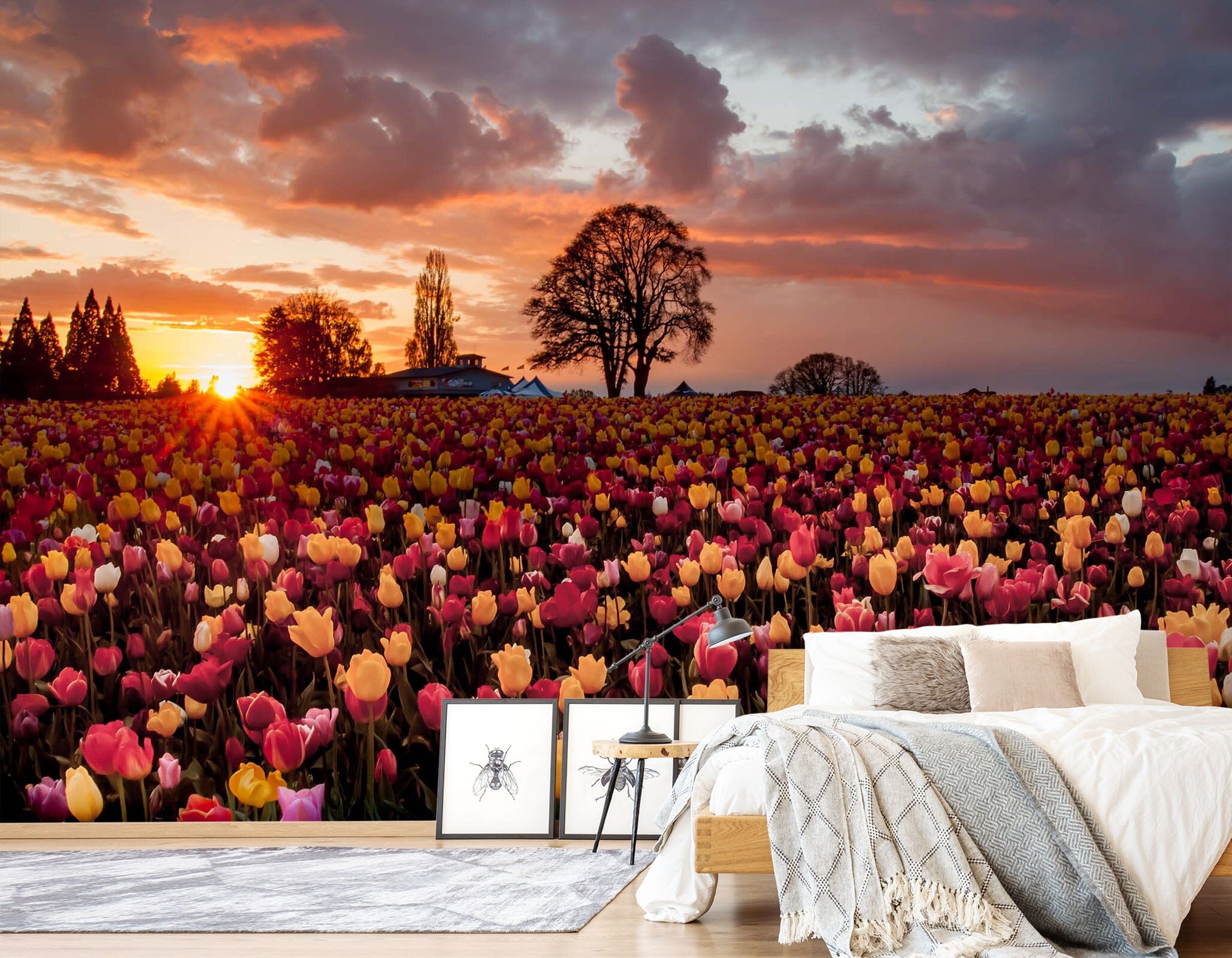 3D Flower Field Tulip 053 Wall Murals Wallpaper AJ Wallpaper 2