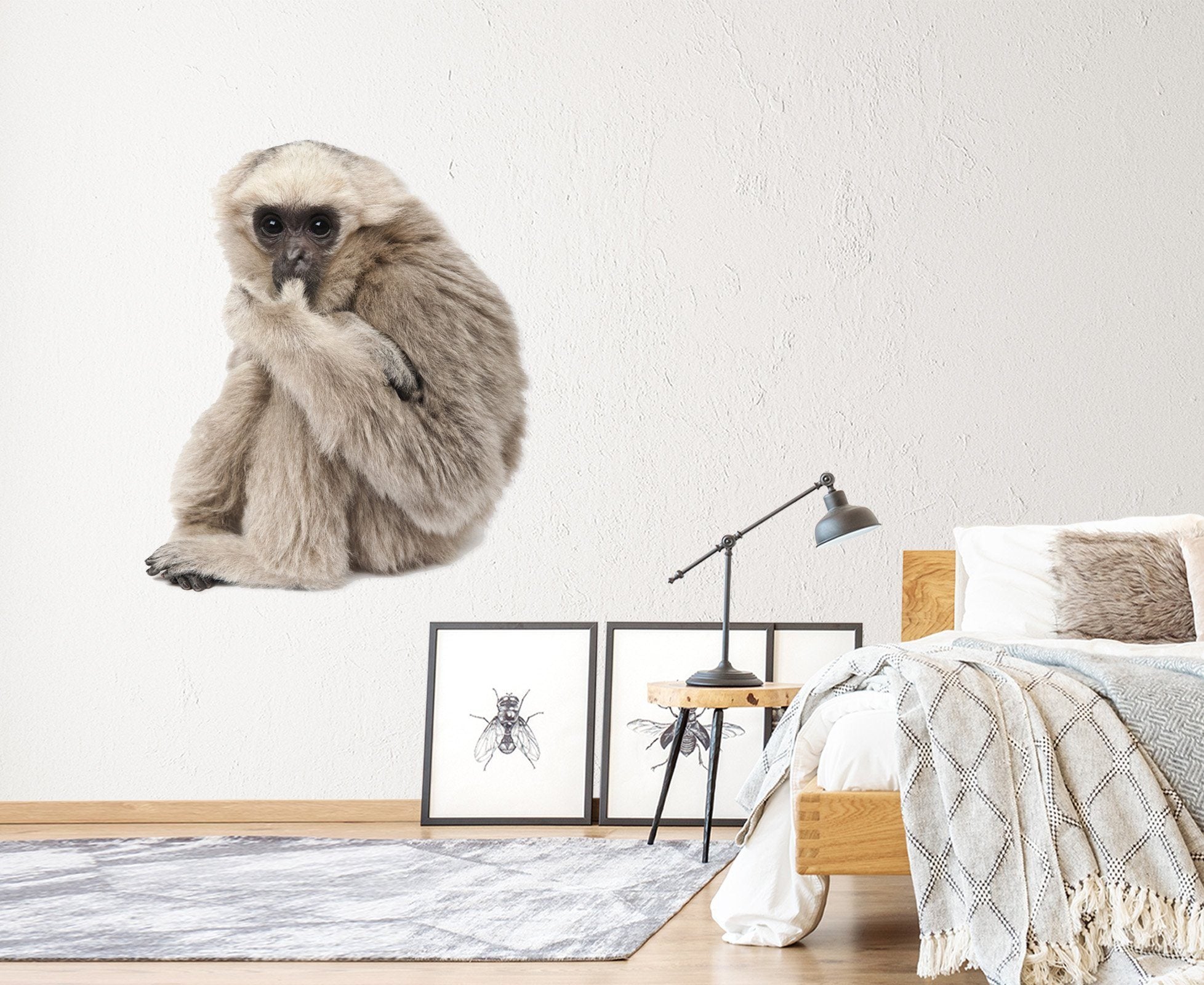 3D Orangutan Eating A Finger 190 Animals Wall Stickers Wallpaper AJ Wallpaper