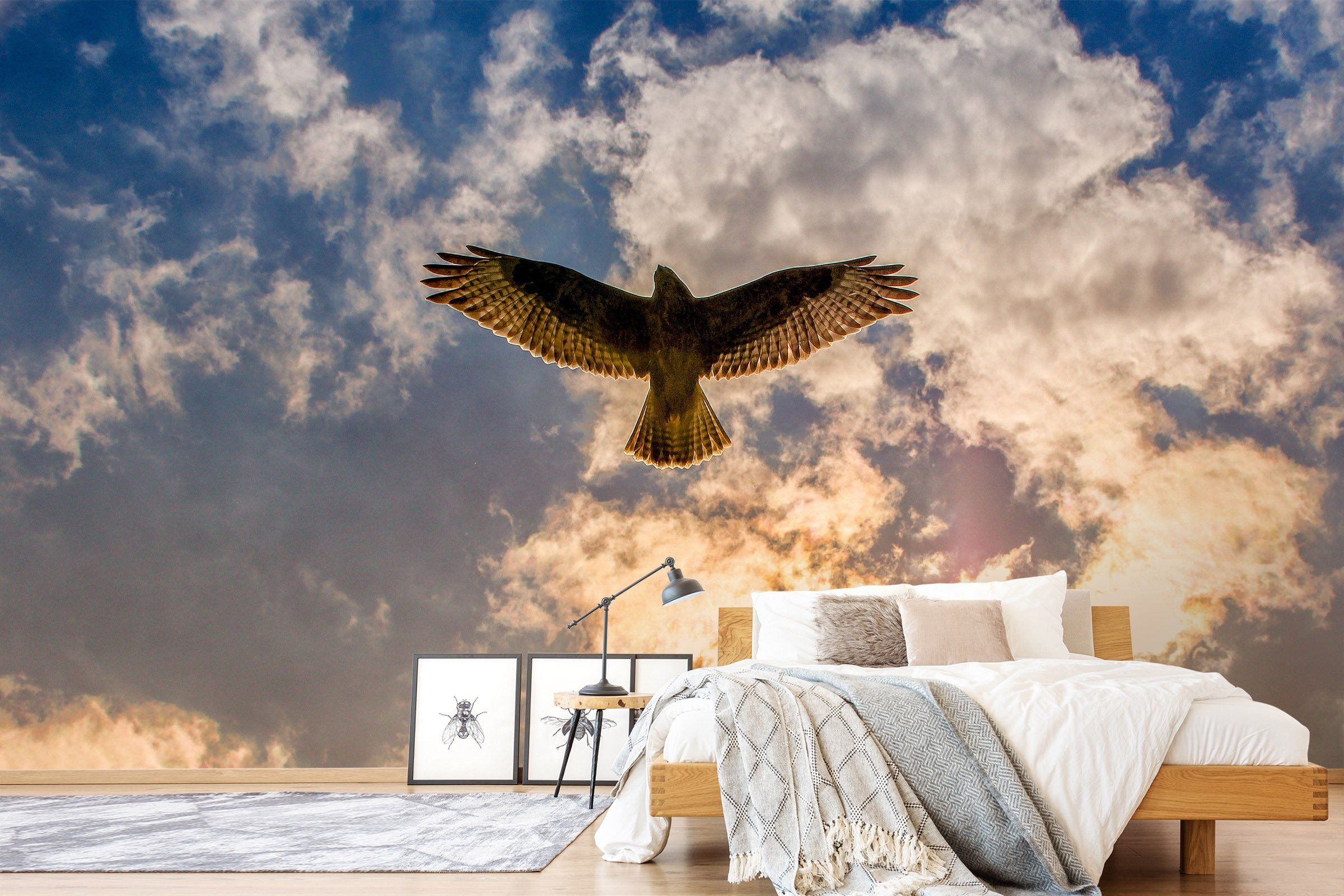 3D Blue Sky Eagle 126 Wallpaper AJ Wallpaper