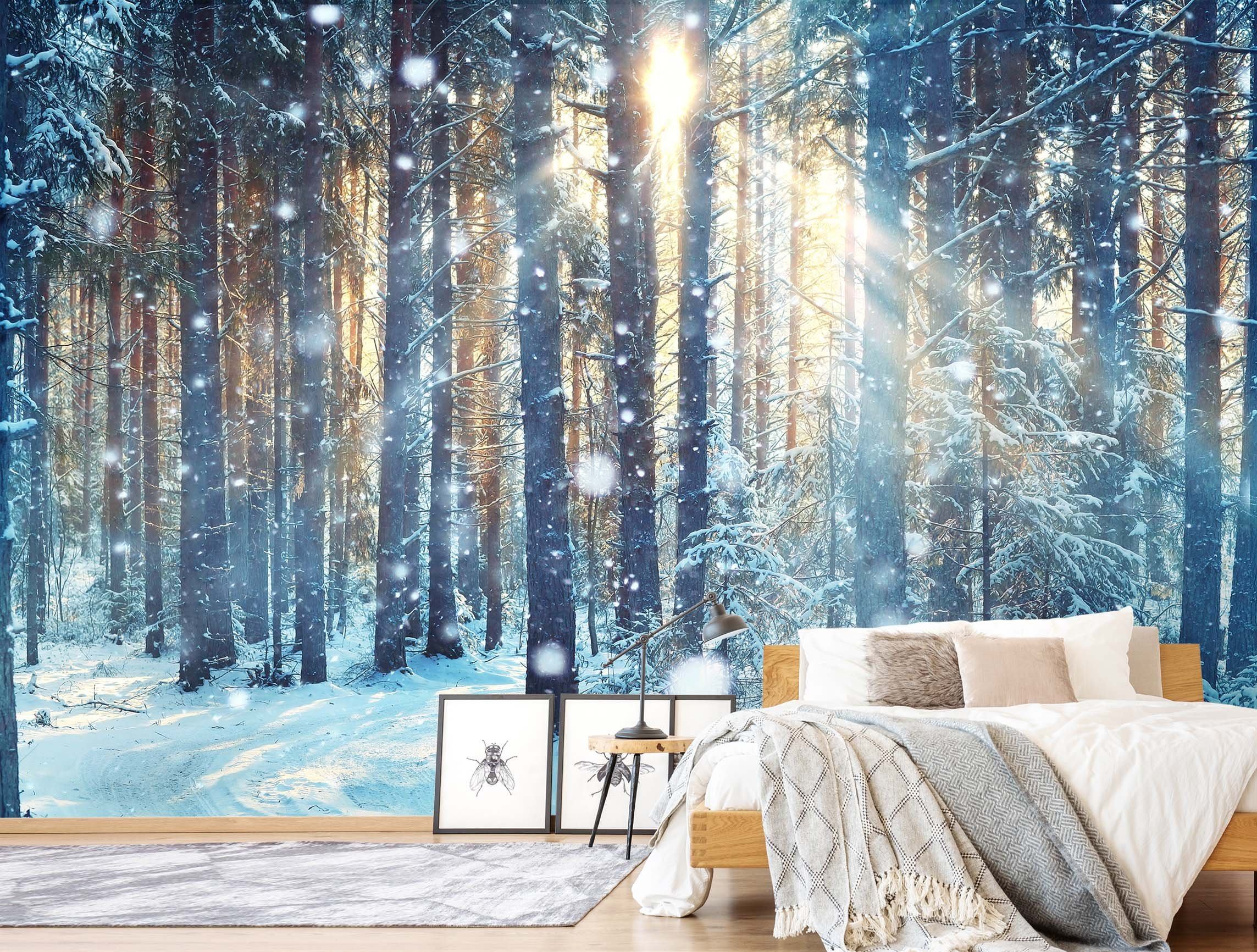 3D Sunshine Forest Snow 707 Wallpaper AJ Wallpaper