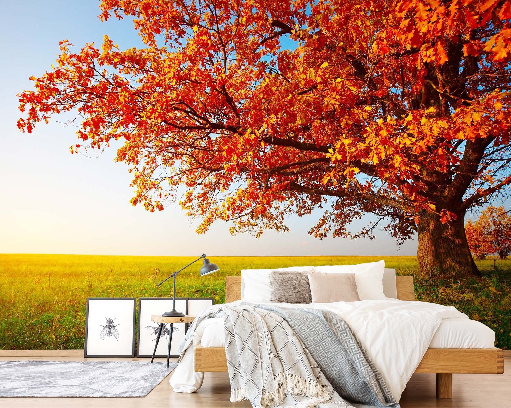 3D Autumn Landscape 148 Wall Murals Wallpaper AJ Wallpaper 2