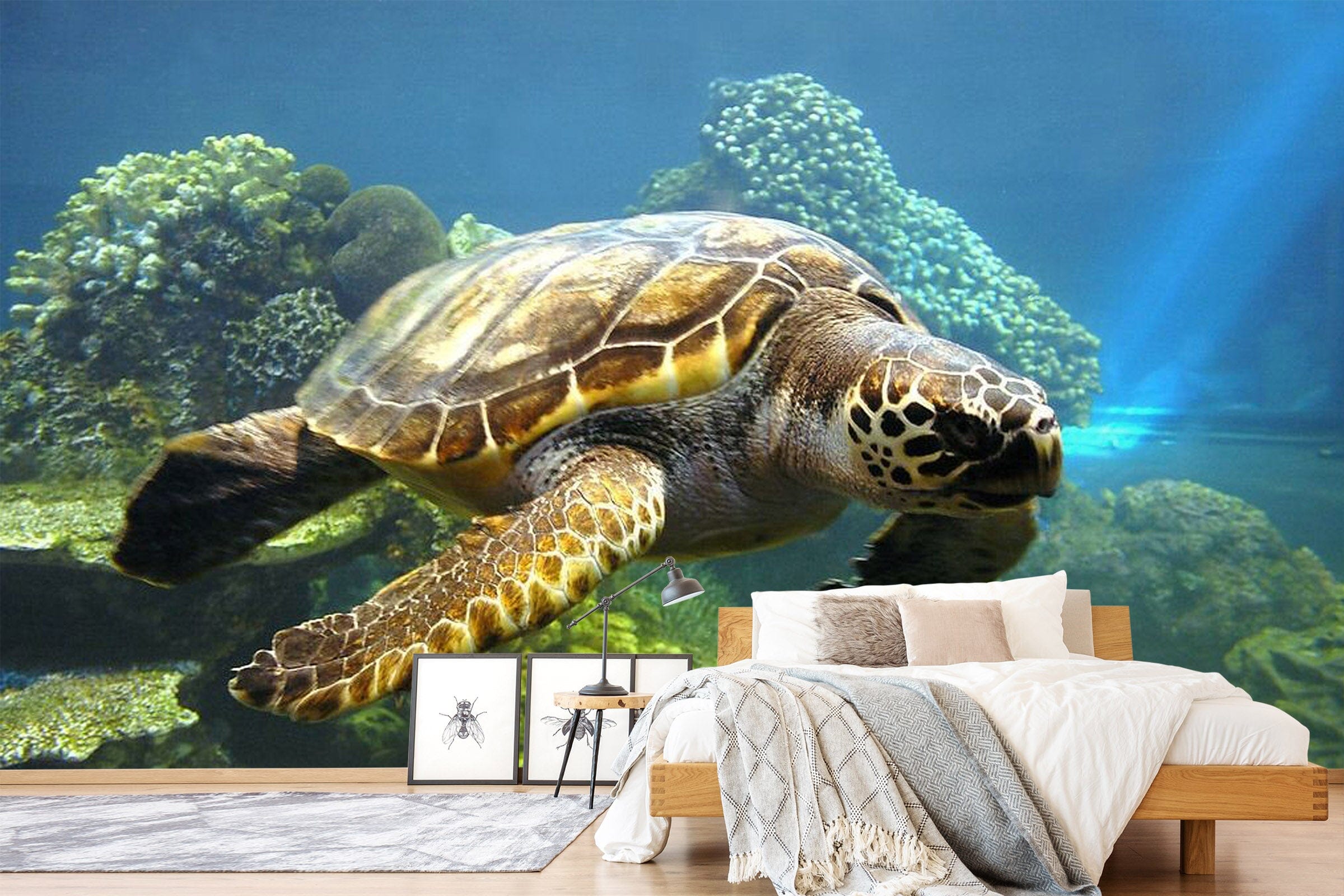 3D Coral Turtle 433 Wall Murals Wallpaper AJ Wallpaper 2