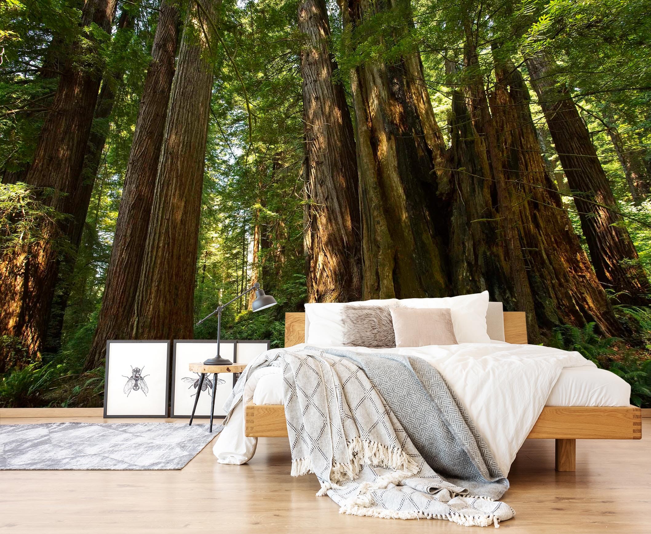 3D Moriyama Old Forest 123 Kathy Barefield Wall Mural Wall Murals Wallpaper AJ Wallpaper 2