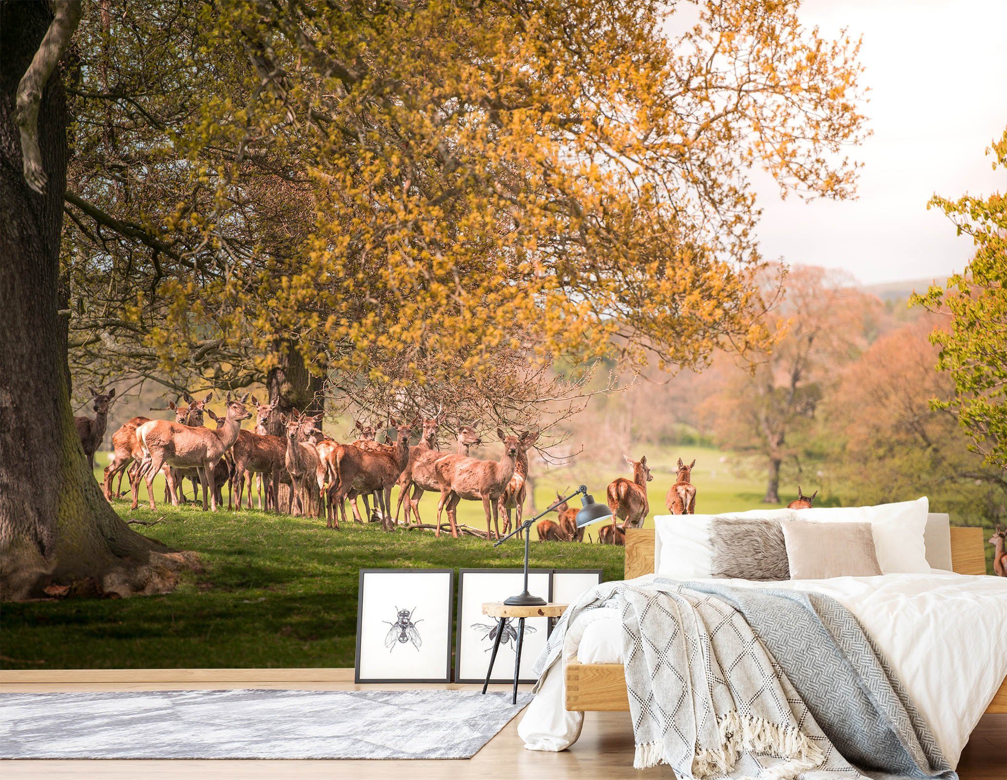 3D Antelope Bathing In The Sun 247 Wallpaper AJ Wallpaper