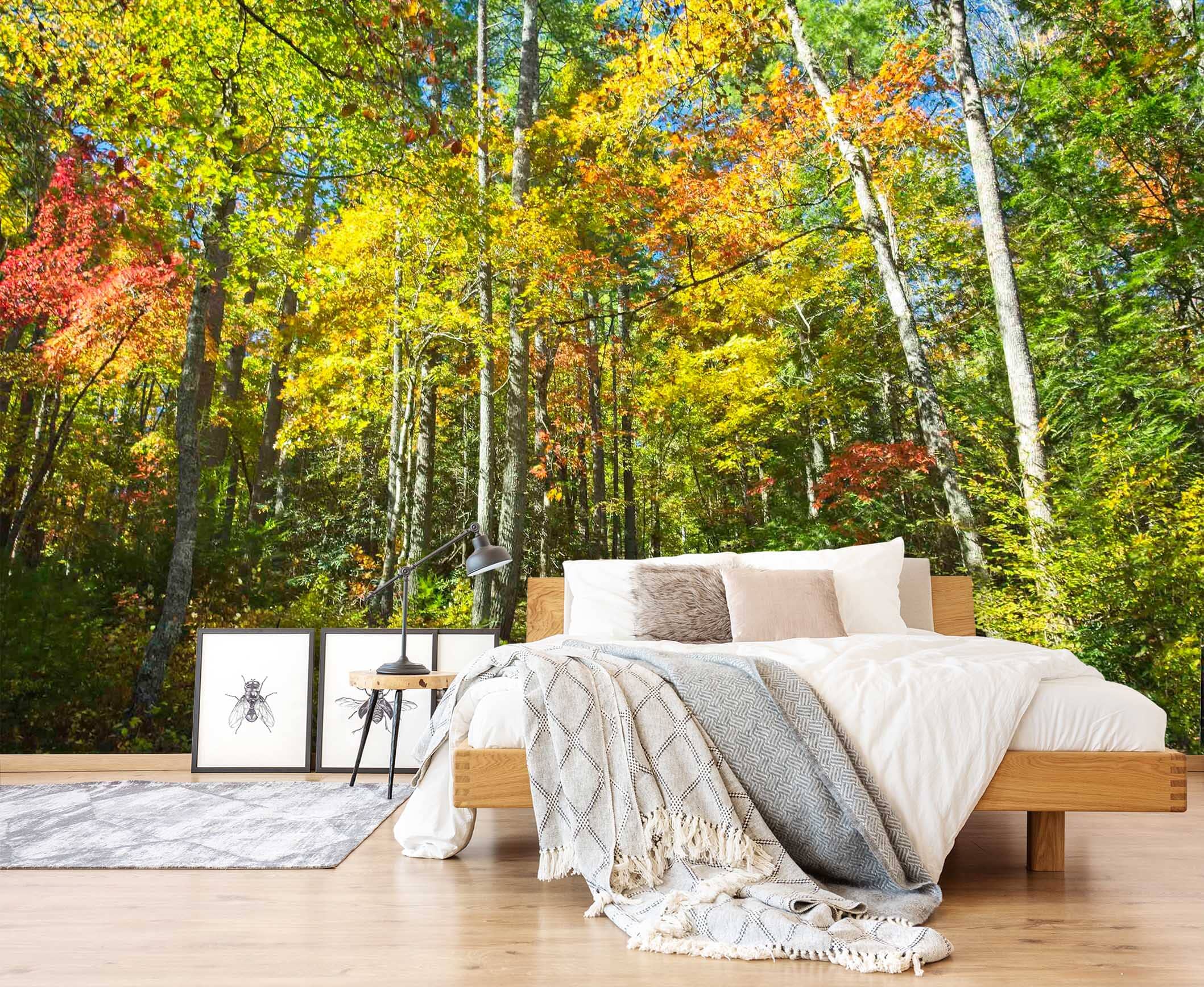 3D Sunny Woods 116 Kathy Barefield Wall Mural Wall Murals Wallpaper AJ Wallpaper 2