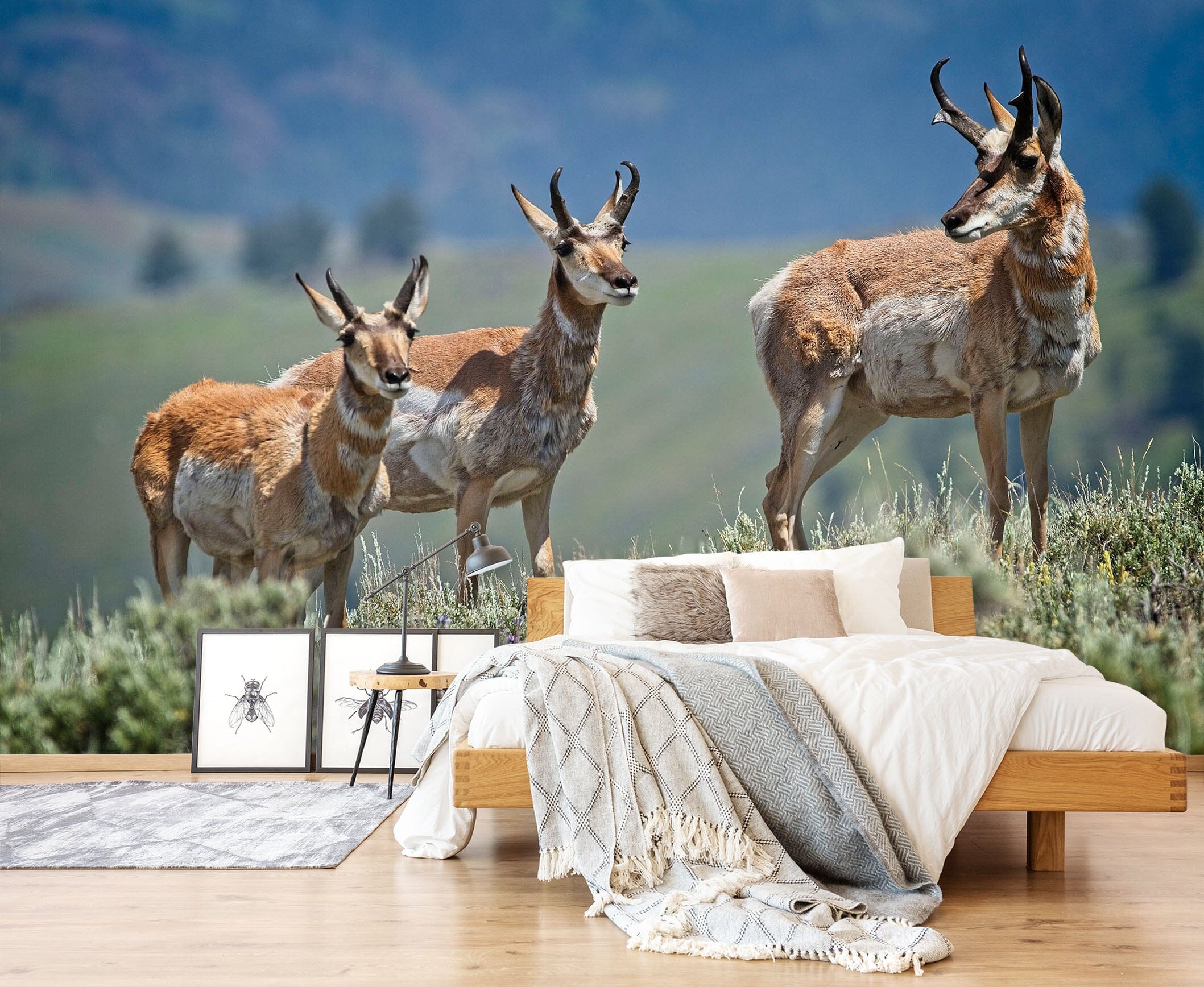 3D Pronghorn Antelope 101 Kathy Barefield Wall Mural Wall Murals Wallpaper AJ Wallpaper 2