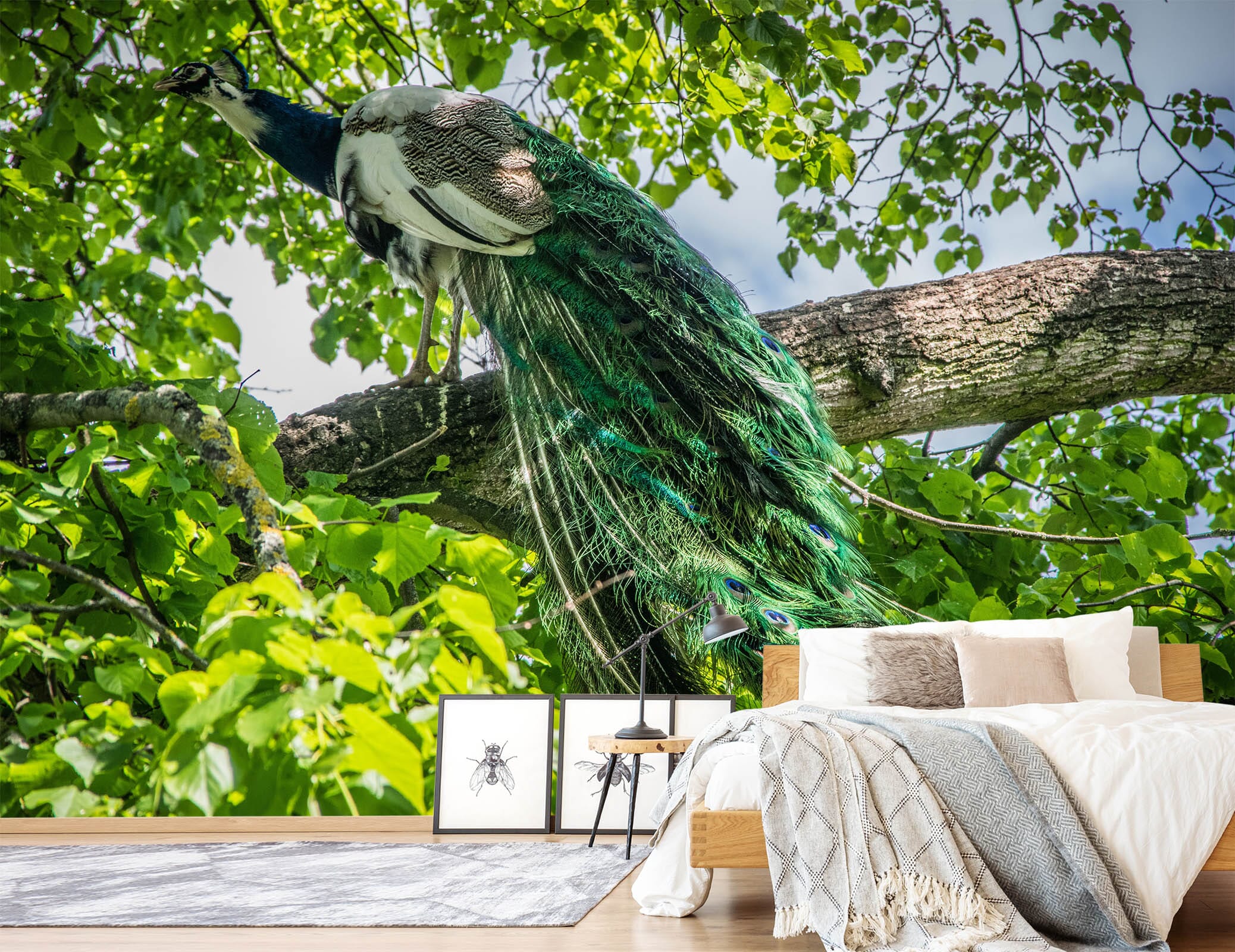 3D Forest Peacock 412 Wall Murals Wallpaper AJ Wallpaper 2