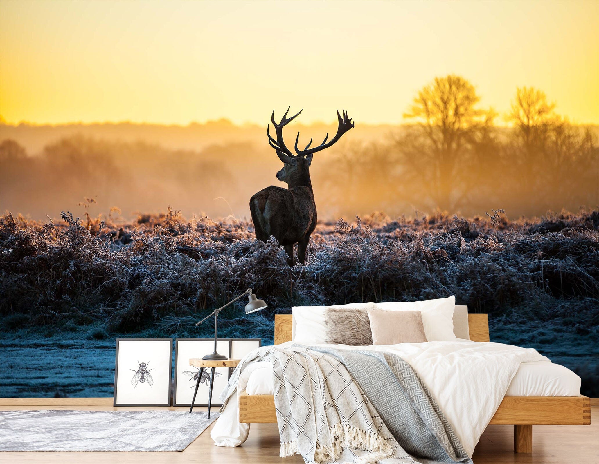 3D Elk Dusk Grassland 057 Wall Murals Wallpaper AJ Wallpaper 2