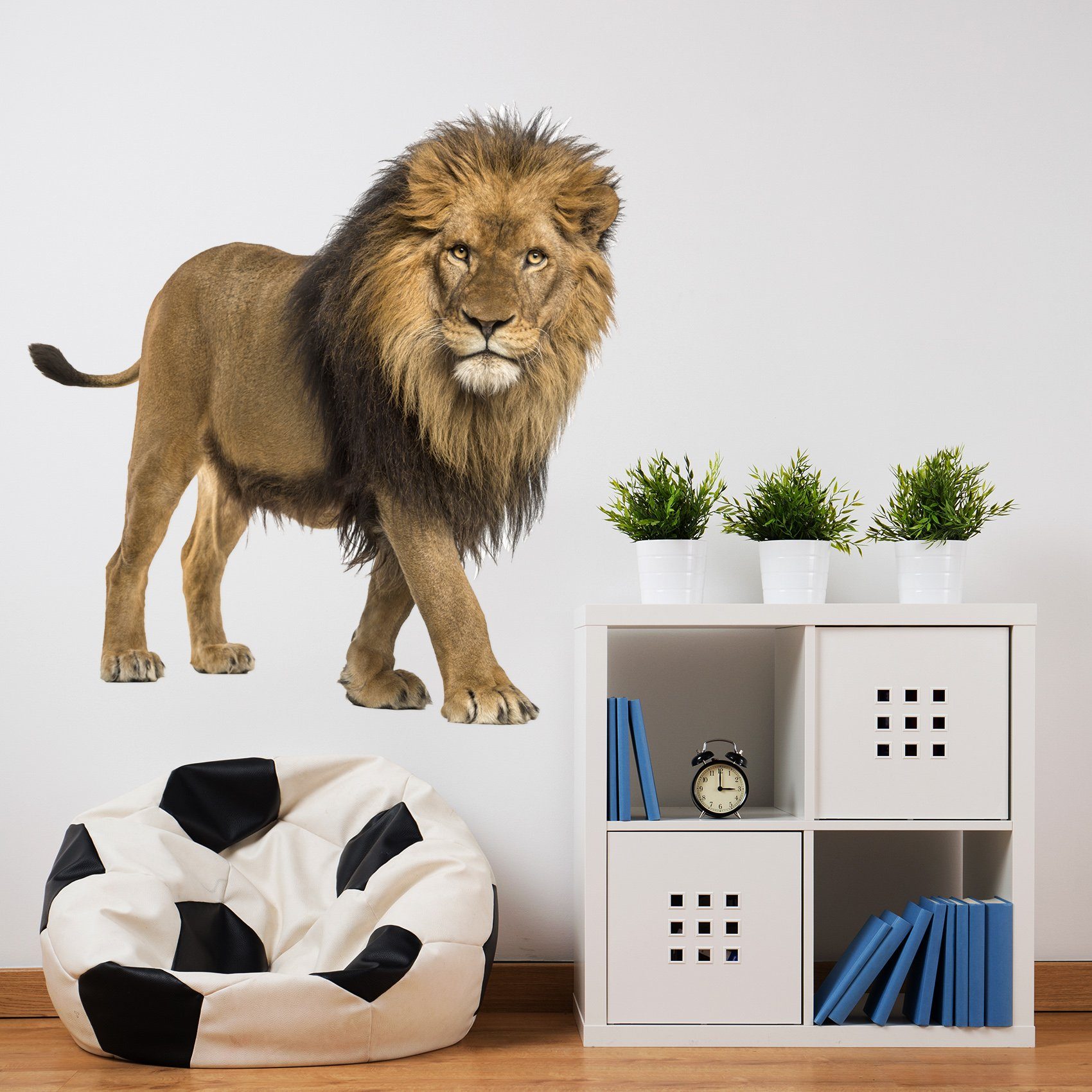 3D Lion's Eye 137 Animals Wall Stickers Wallpaper AJ Wallpaper