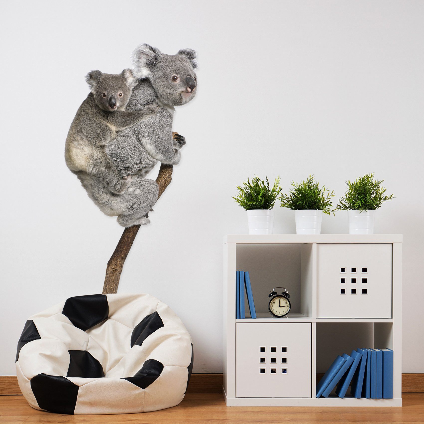 3D Koala 187 Animals Wall Stickers Wallpaper AJ Wallpaper