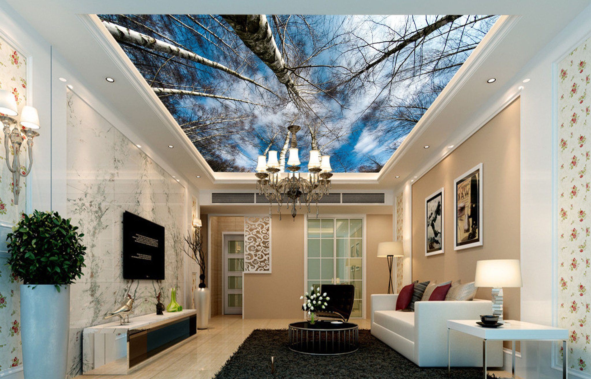 Bare Trees Blue Sky Wallpaper AJ Wallpaper