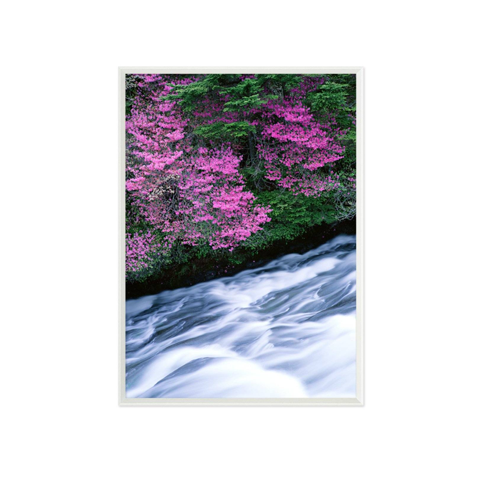 3D Woods Flowers 007 Fake Framed Print Painting Wallpaper AJ Creativity Home