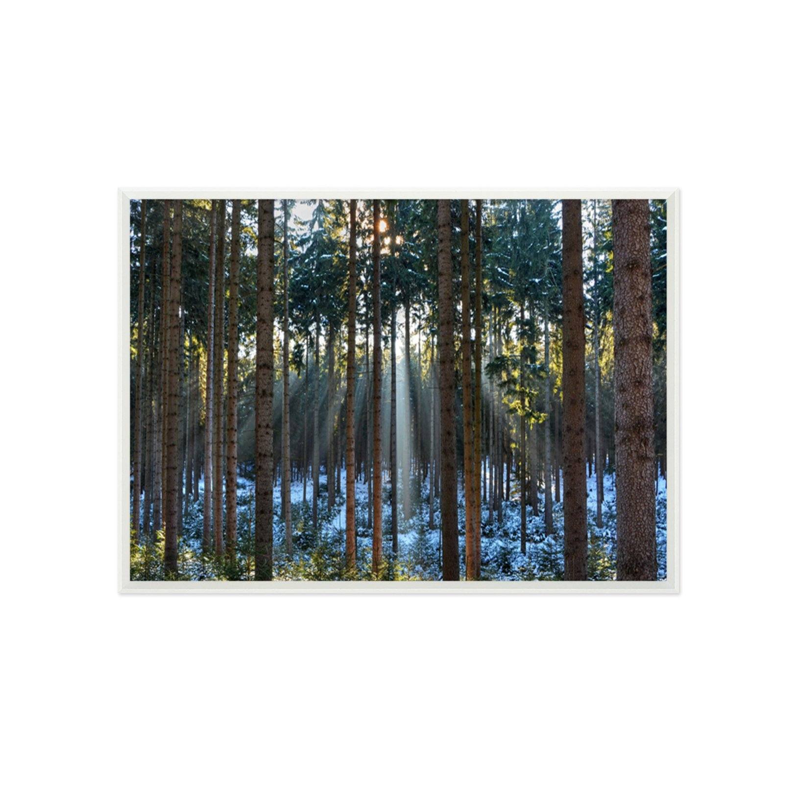 3D Sunshine Melting 049 Fake Framed Print Painting Wallpaper AJ Creativity Home