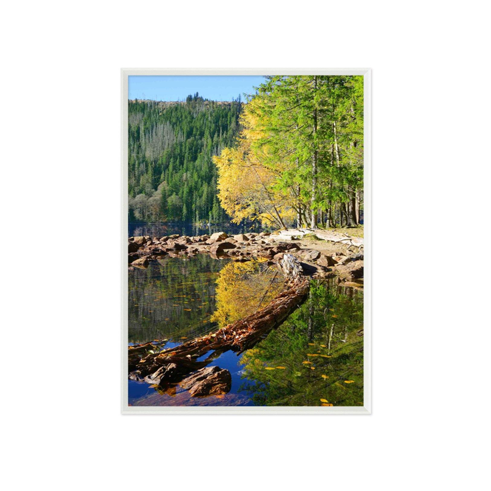 3D River Leaves 121 Fake Framed Print Painting Wallpaper AJ Creativity Home