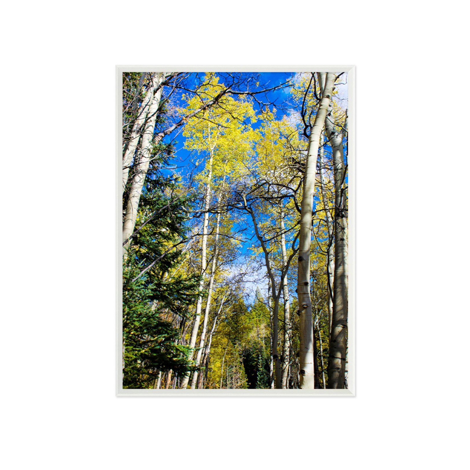 3D Sky Tree 140 Fake Framed Print Painting Wallpaper AJ Creativity Home