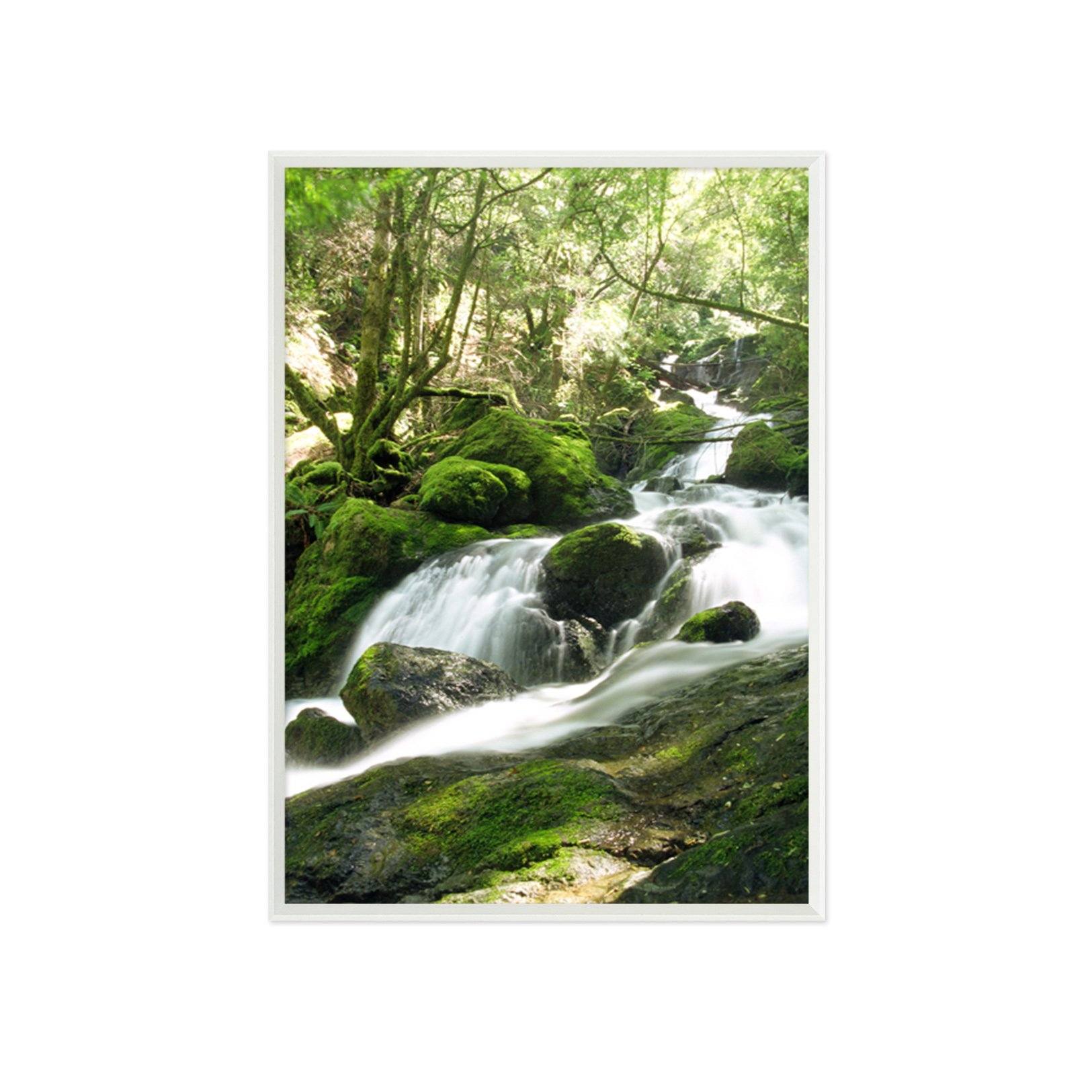 3D Moss River 062 Fake Framed Print Painting Wallpaper AJ Creativity Home