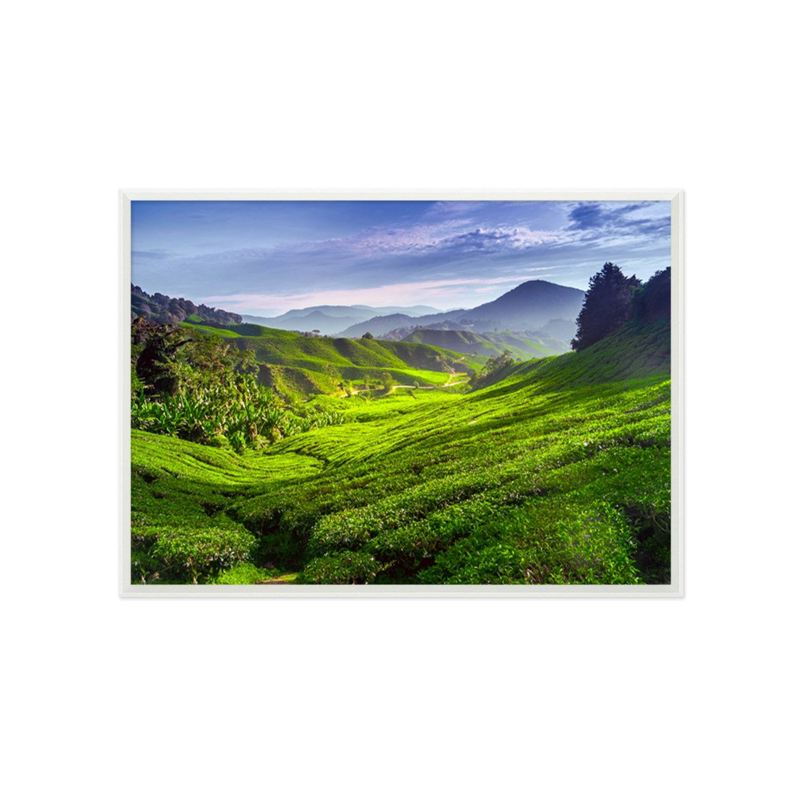3D Green Fields 184 Fake Framed Print Painting Wallpaper AJ Creativity Home
