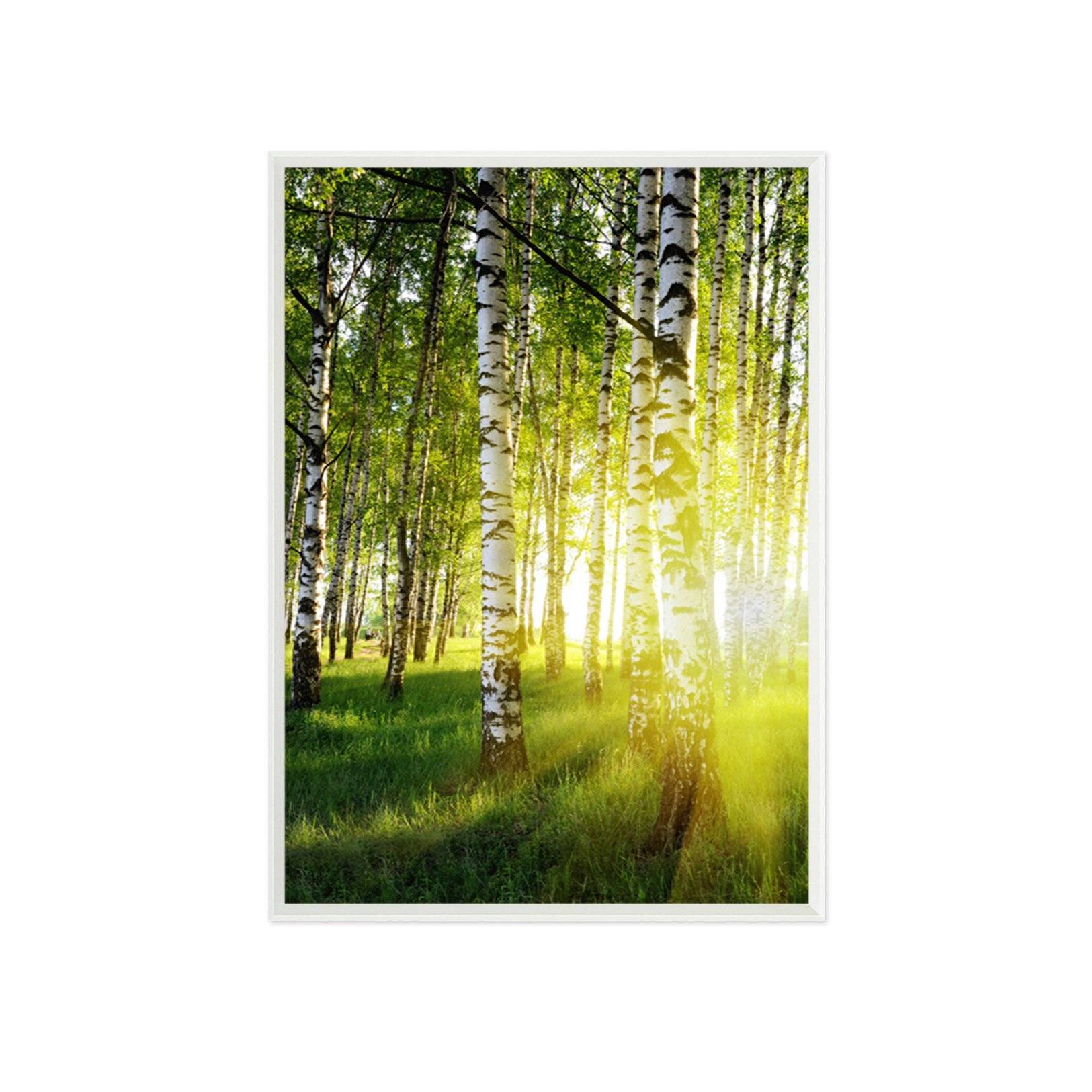 3D Sunshine Rattan 032 Fake Framed Print Painting Wallpaper AJ Creativity Home