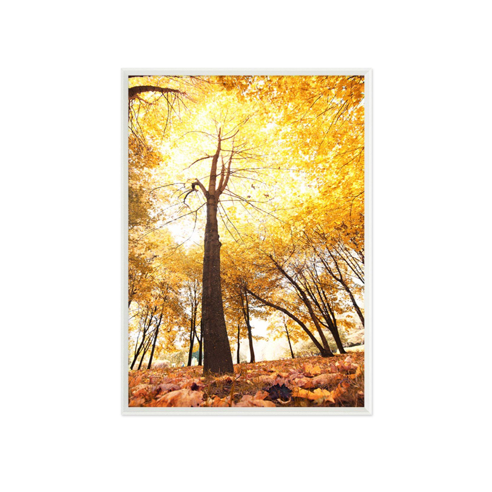 3D Beautiful Maple 020 Fake Framed Print Painting Wallpaper AJ Creativity Home