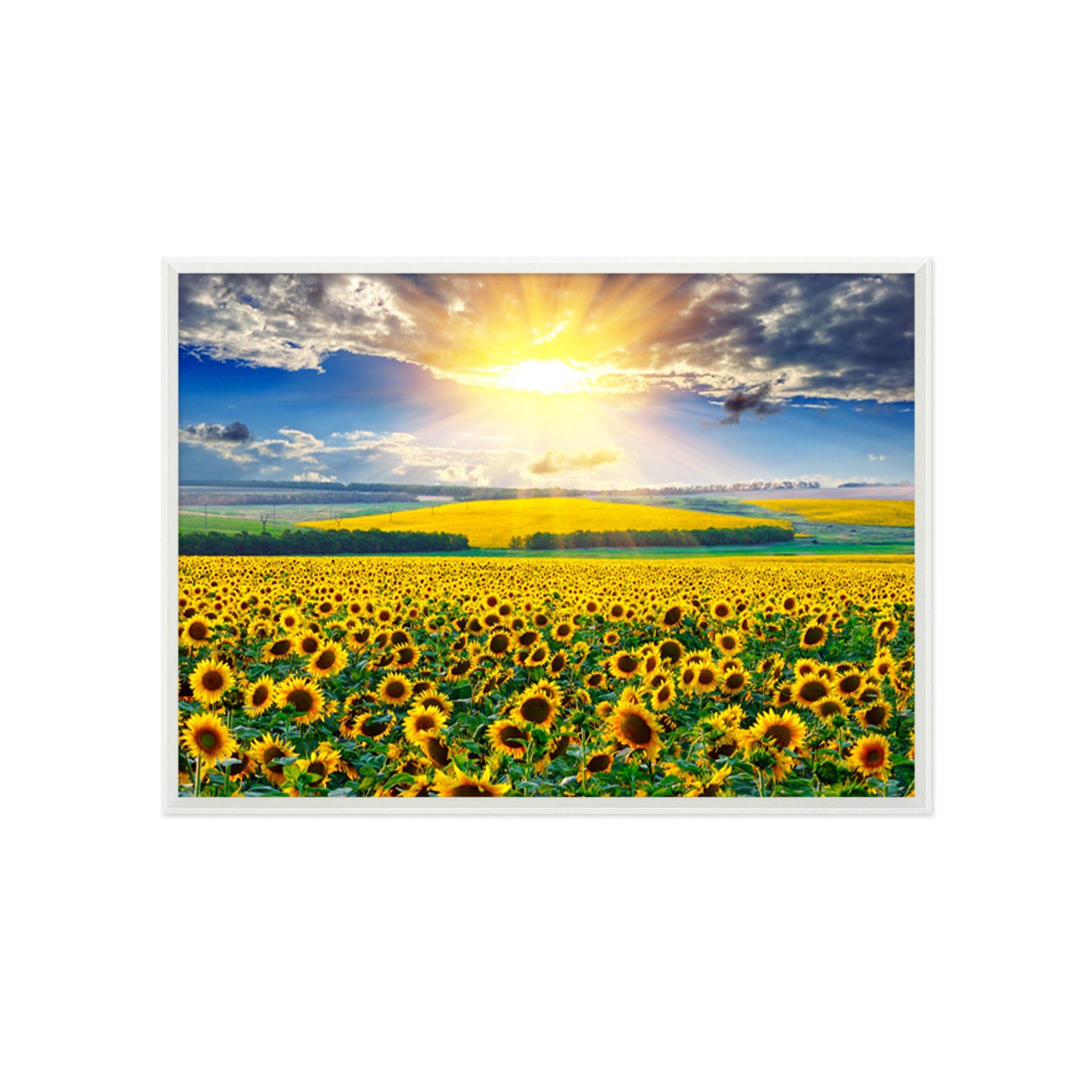 3D Sunshine Sunflower 161 Fake Framed Print Painting Wallpaper AJ Creativity Home