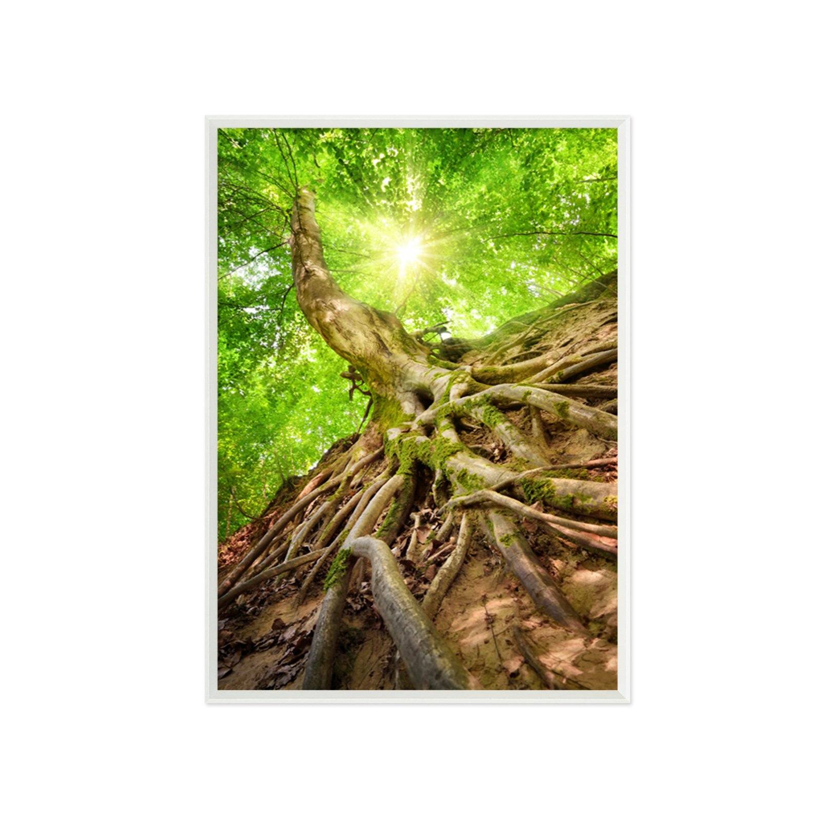 3D Trunk Land 080 Fake Framed Print Painting Wallpaper AJ Creativity Home