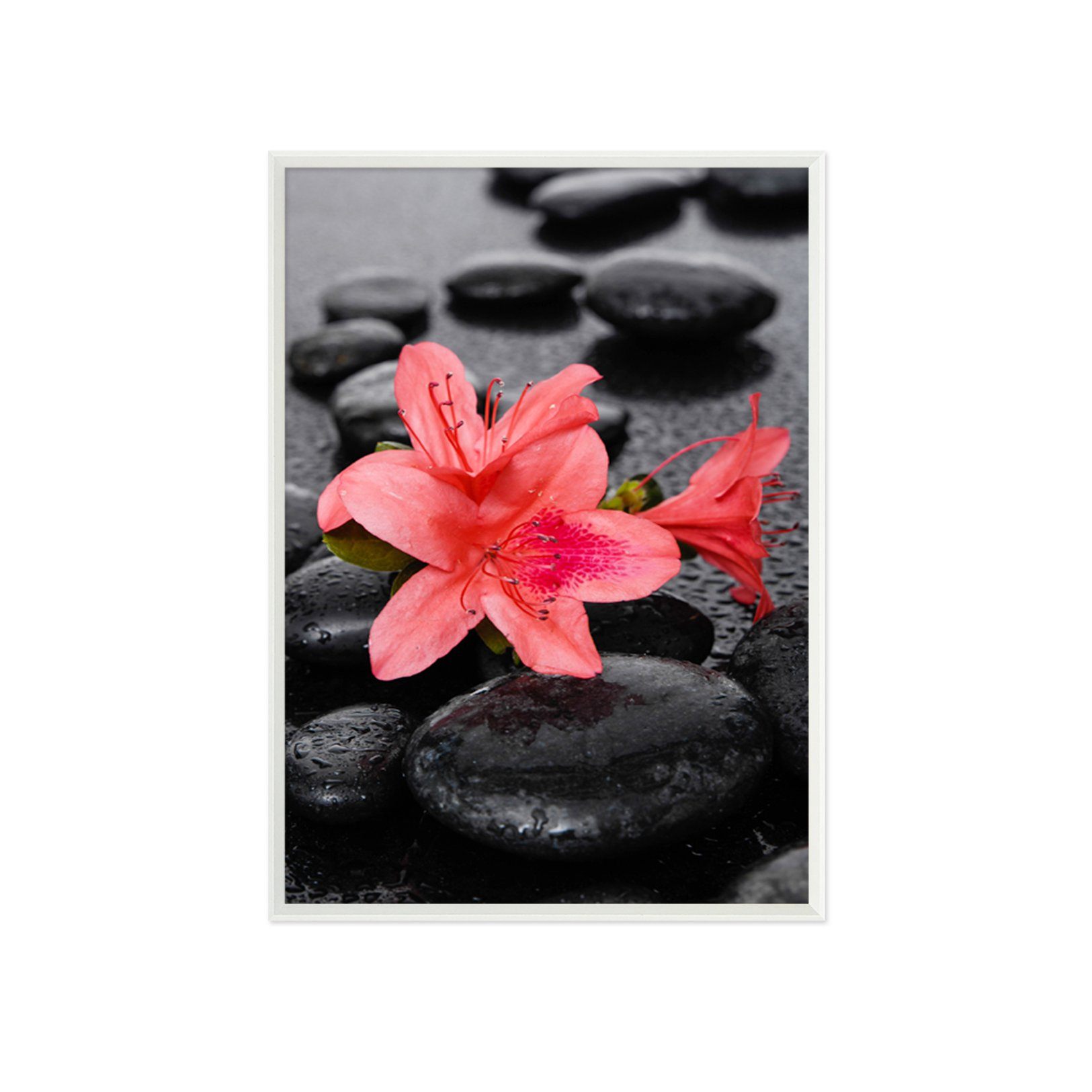 3D Stone Safflower 001 Fake Framed Print Painting Wallpaper AJ Creativity Home